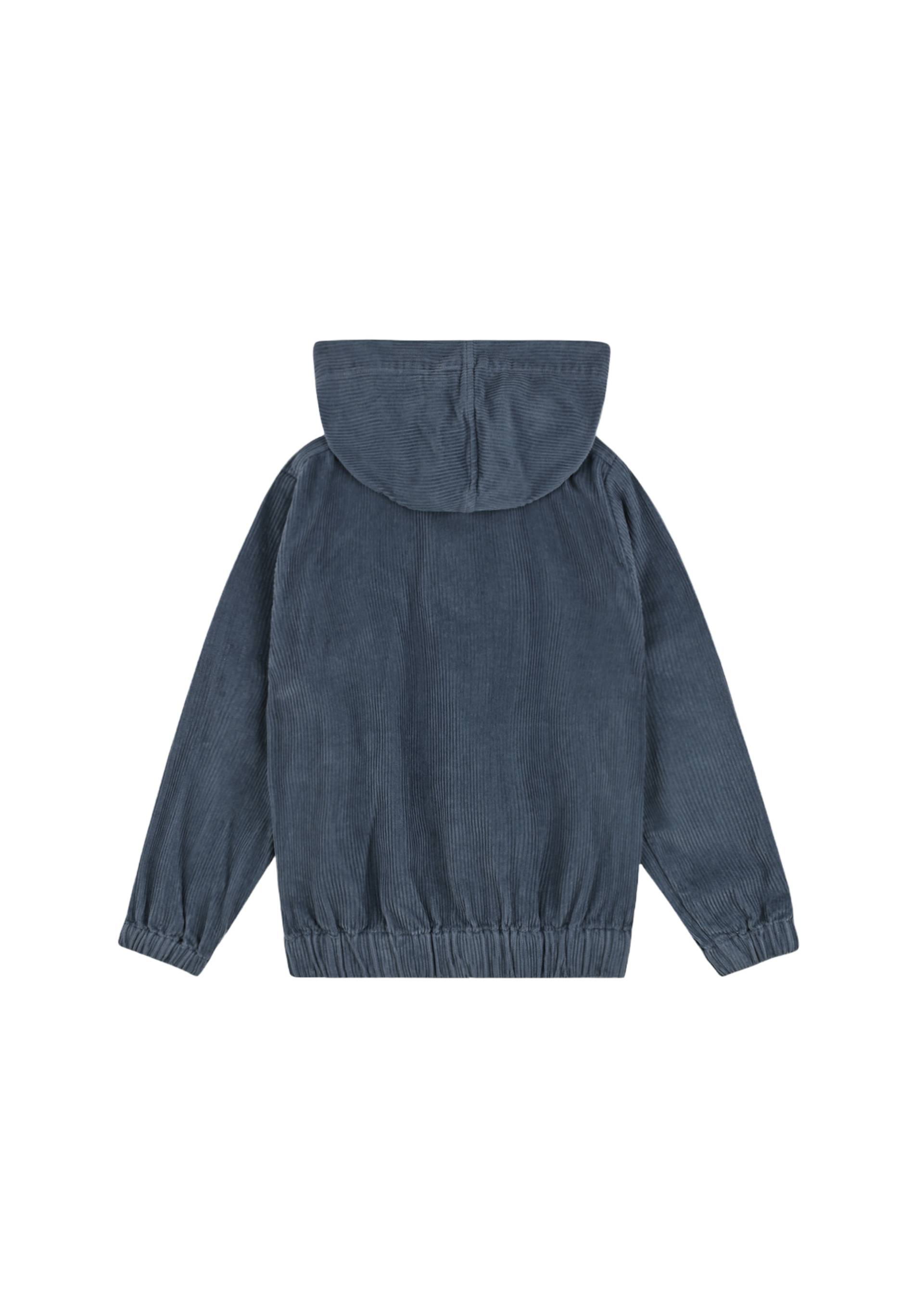 Veste à capuche, Bleu, large image number 4.0