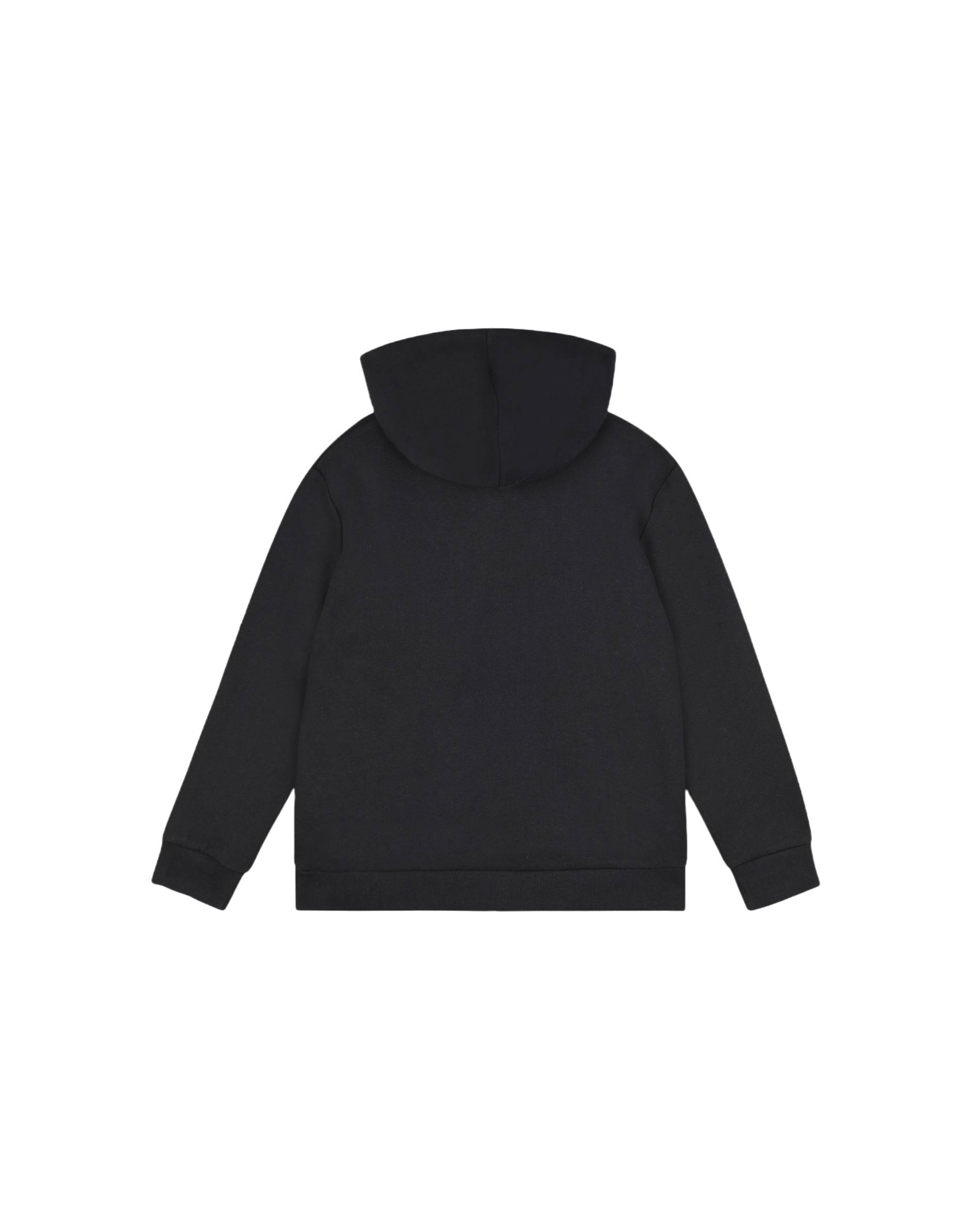 SWEAT A CAPUCHE FIT IMPRIME GARCON EN COTON BIO, Noir, large image number 4