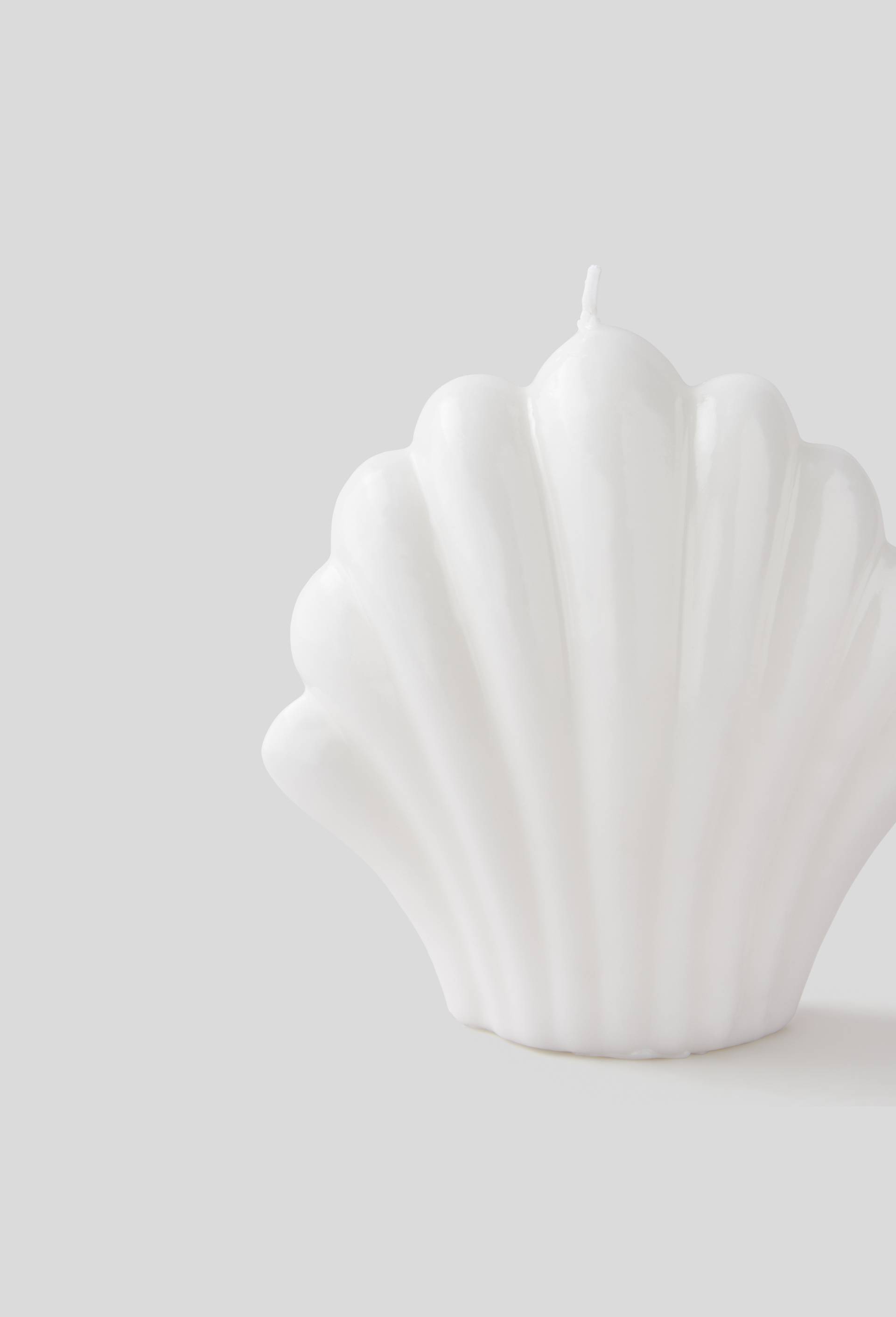 Bougie coquillage, Blanc, large image number 1.0