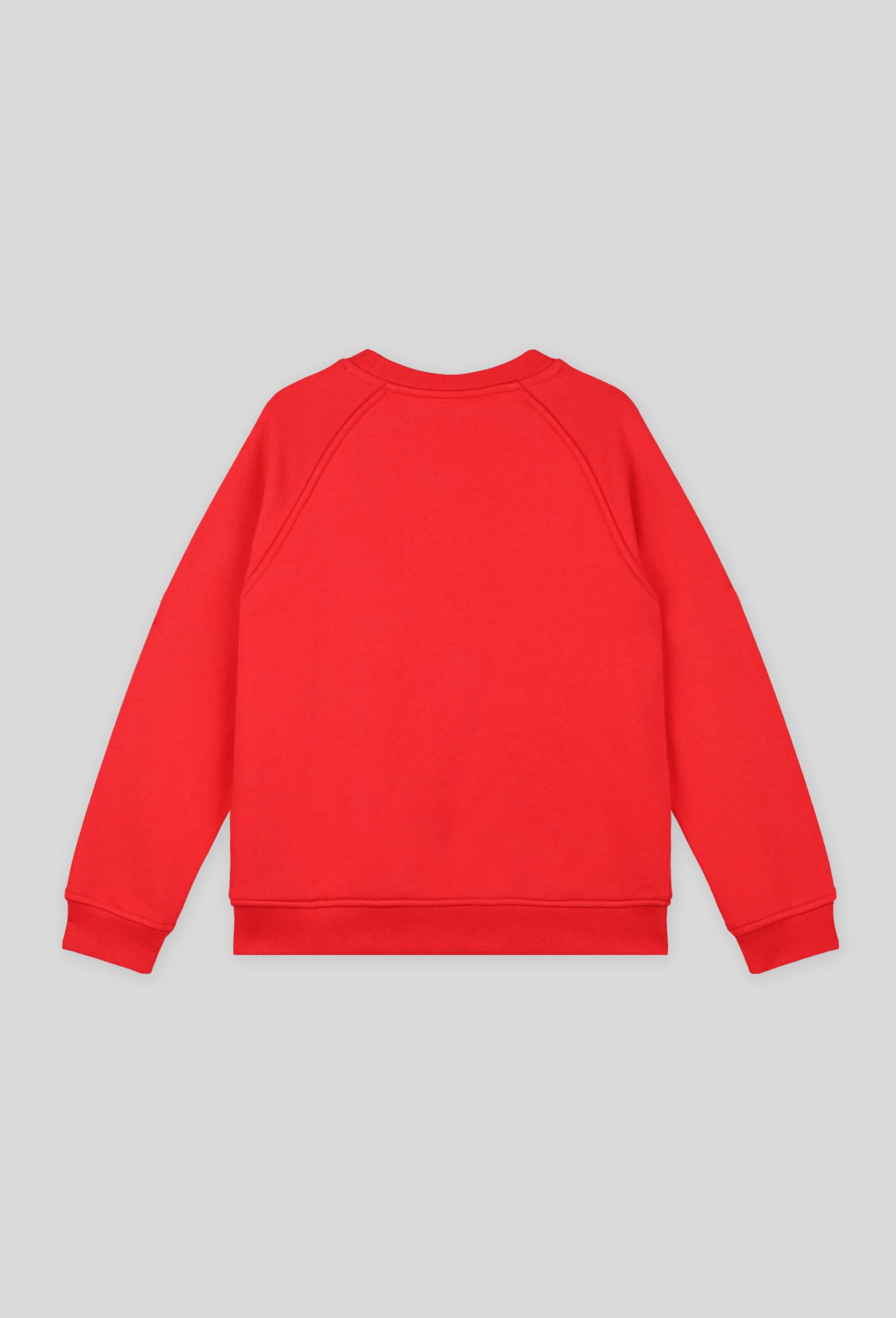 Pull col rond en coton BIO, Rouge, large image number 1