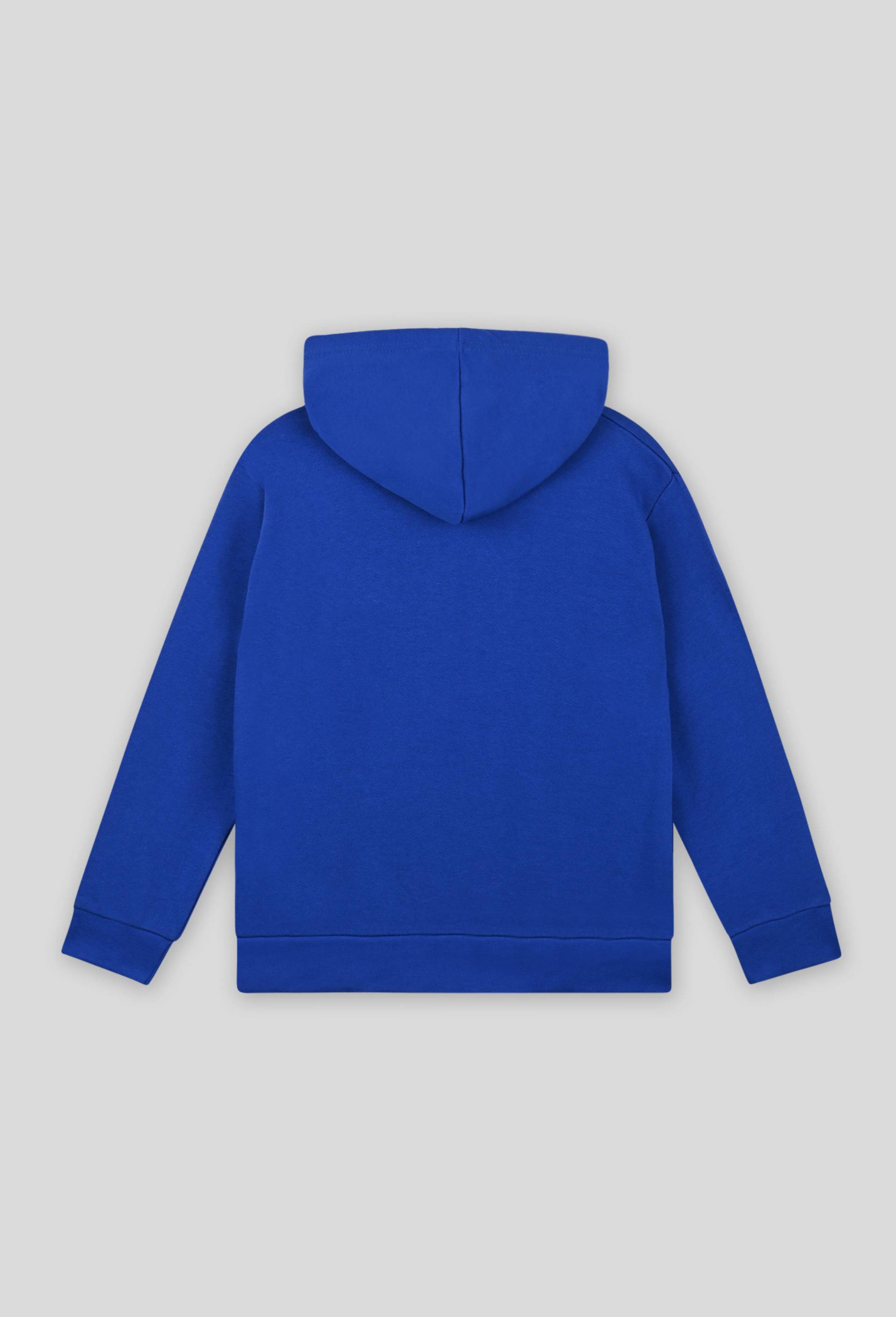 Sweat à capuche avec imprimé fantaisie et poche ventrale, BIO, Bleu, large image number 1.0
