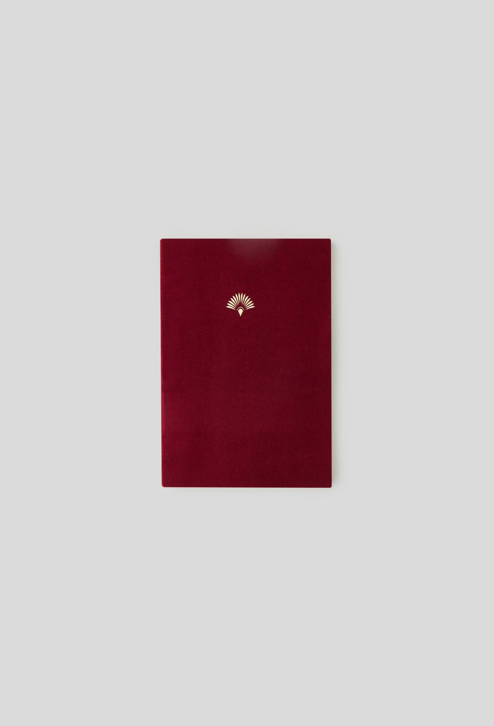Carnet velours, A5, 48 pages, Rouge foncé, large image number 0
