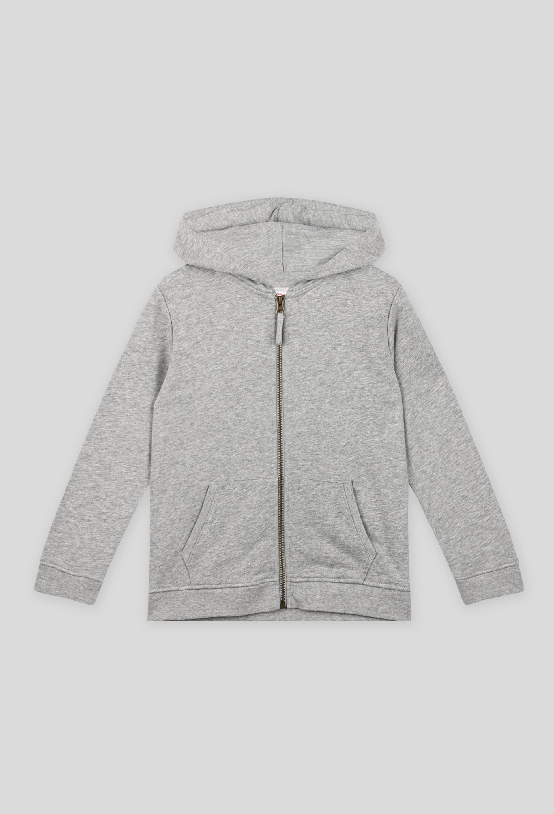 Sweat zippé à capuche contenant du coton BIO, Gris clair, large image number 0