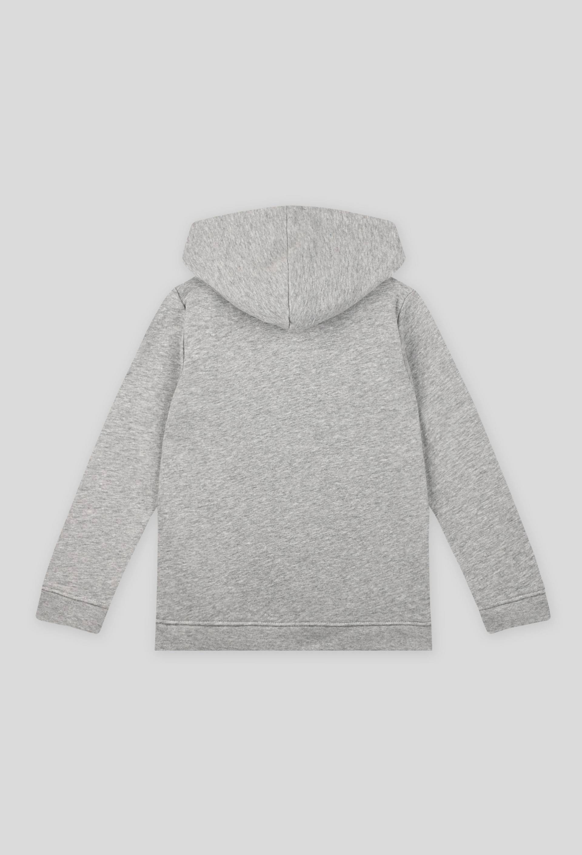 Sweat zippé à capuche contenant du coton BIO, Gris clair, large image number 1