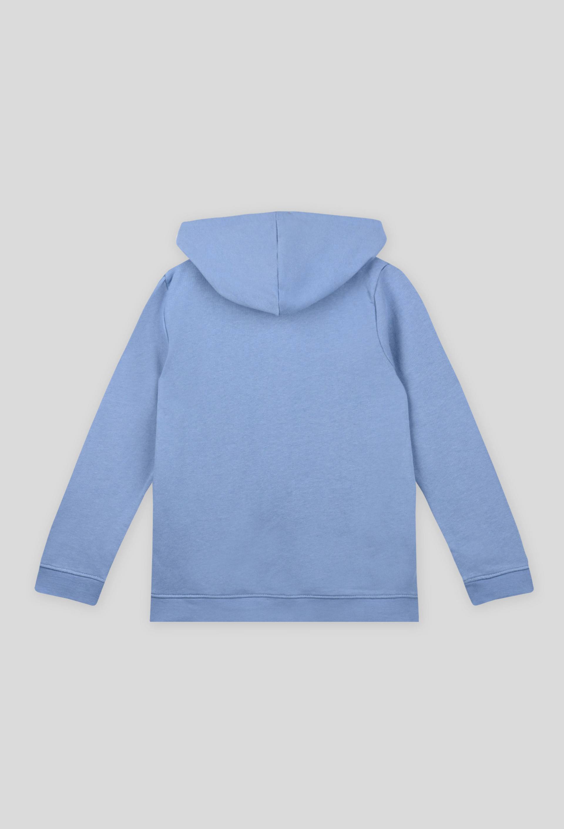 Sweat zippé à capuche contenant du coton BIO, BLEU, large image number 1
