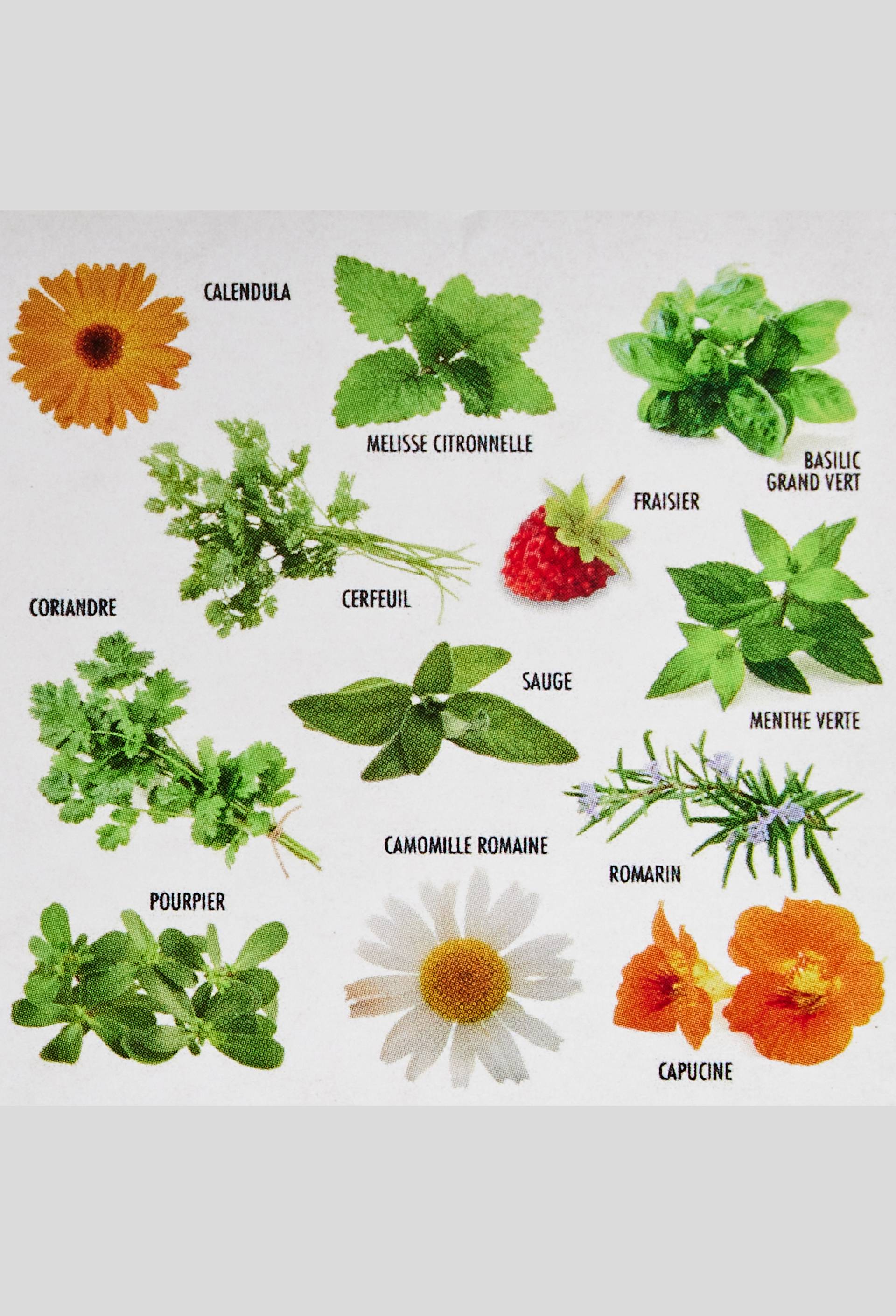 Coffret plante bien-être, biologique, Multicolore, large image number 1