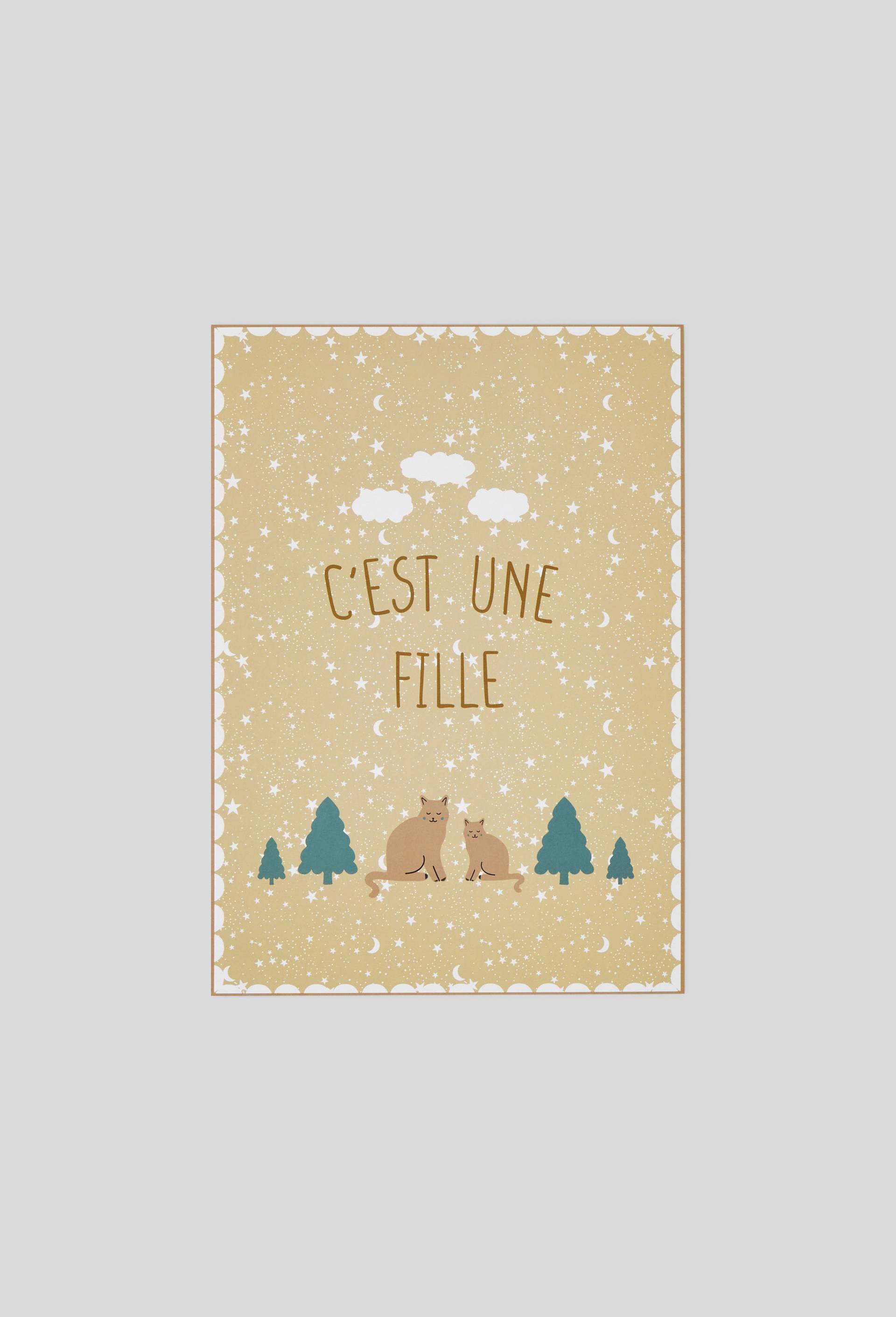 Poster "C'est une fille", Multicolore, large image number 0.0
