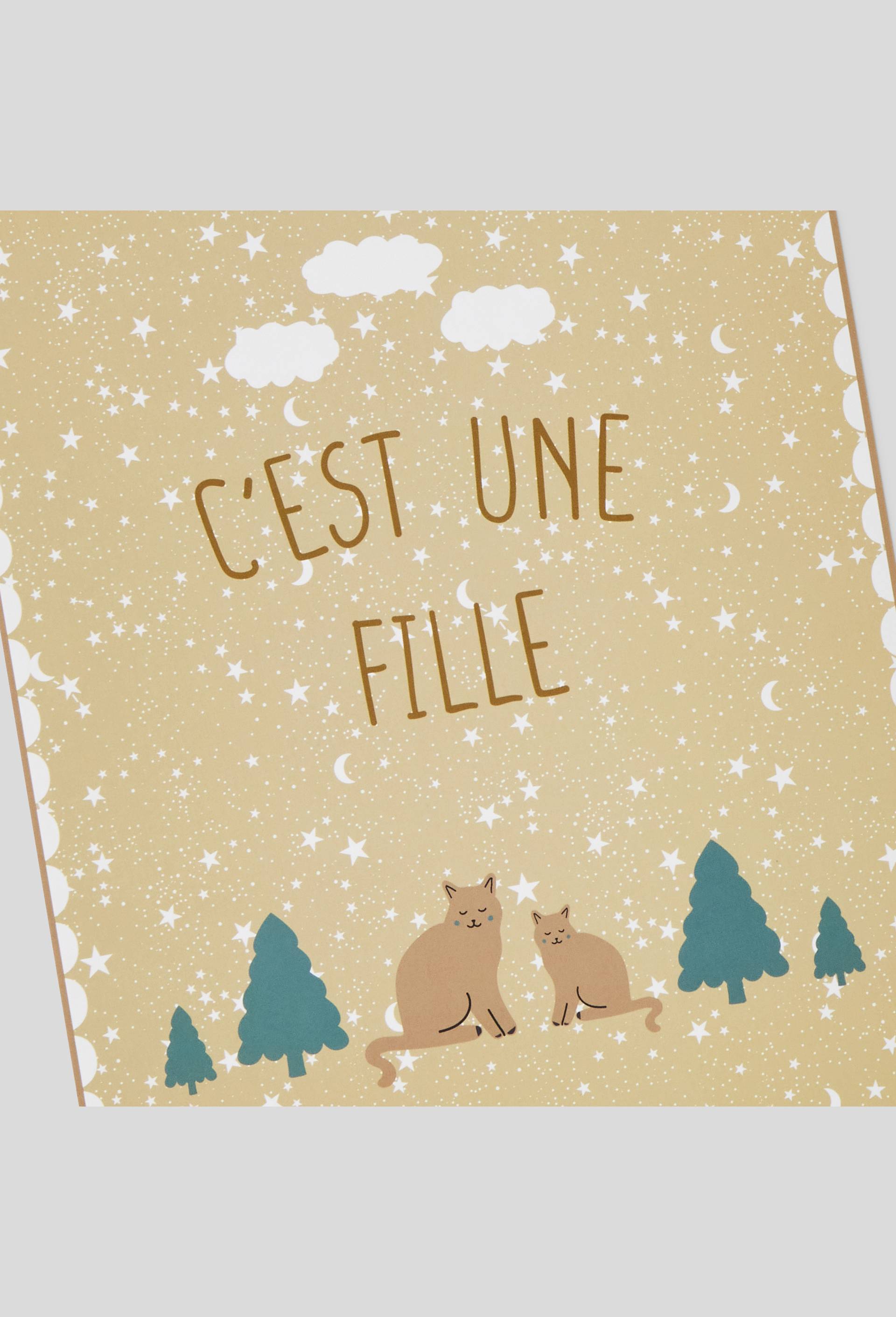Poster "C'est une fille", Multicolore, large image number 1.0
