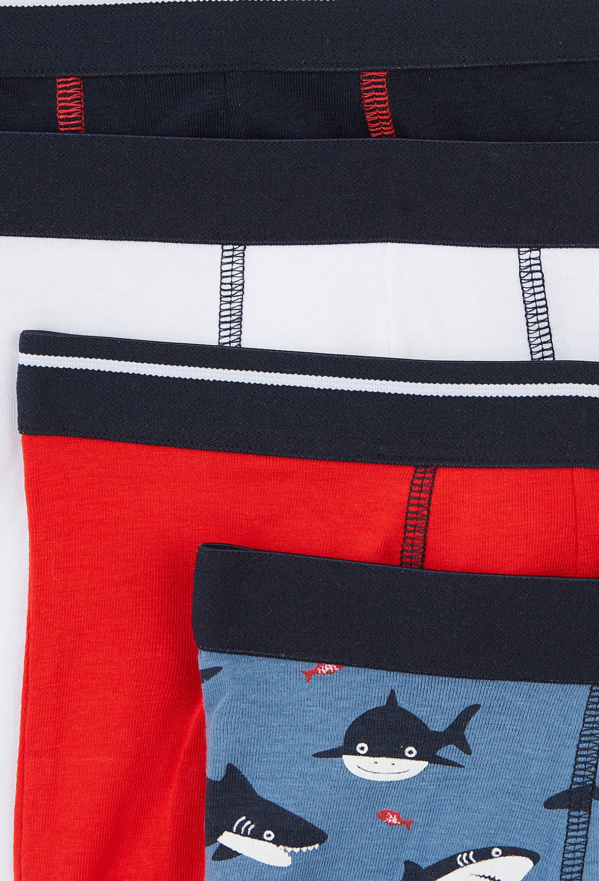 Lot de 5 boxers imprim&eacute;s en coton BIO GOTS, Bleu, large image number 2