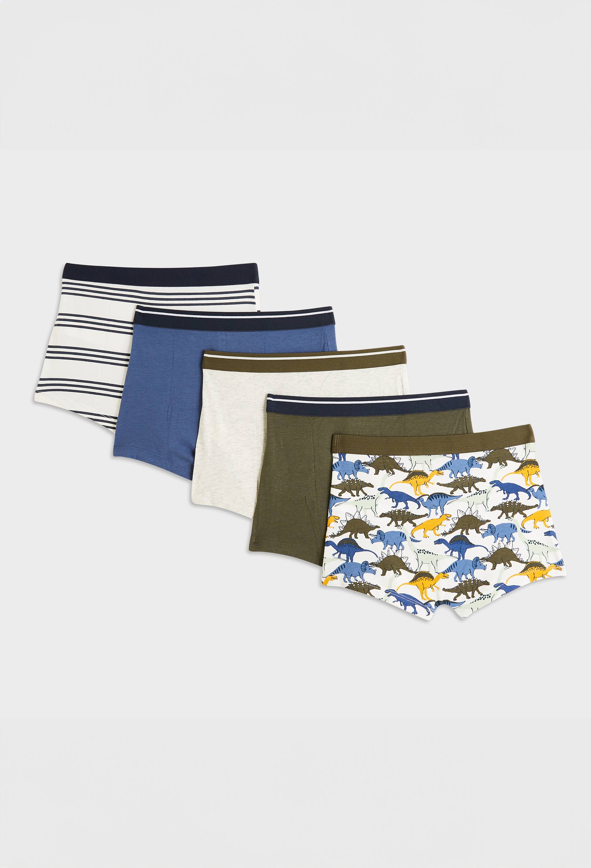 Lot de 5 boxers imprim&eacute;s en coton BIO, Ecru, large image number 1.0