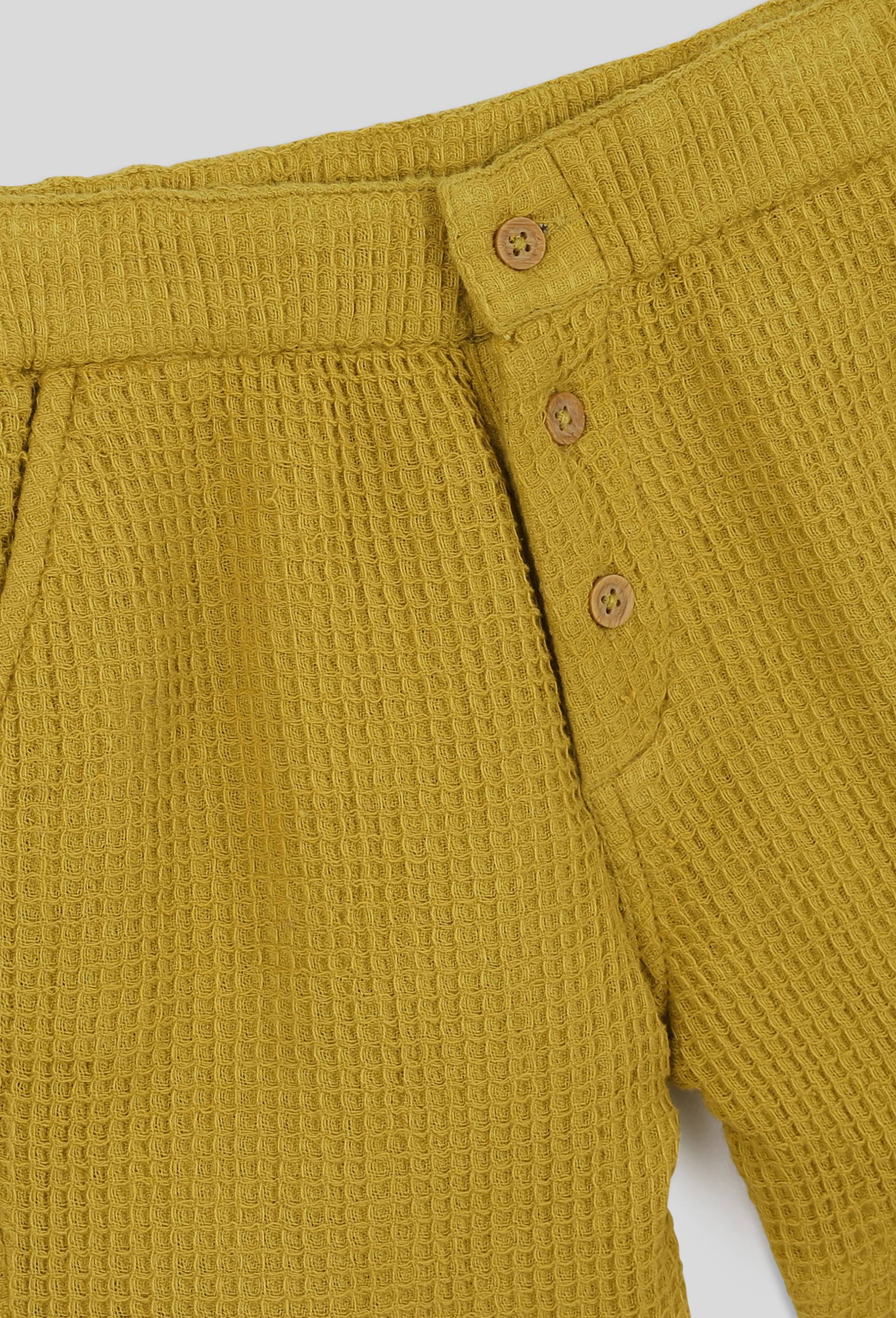 Bermuda uni doublé taille élastique, garçon, en coton BIO, OEKO-TEX, Vert clair, large image number 2.0