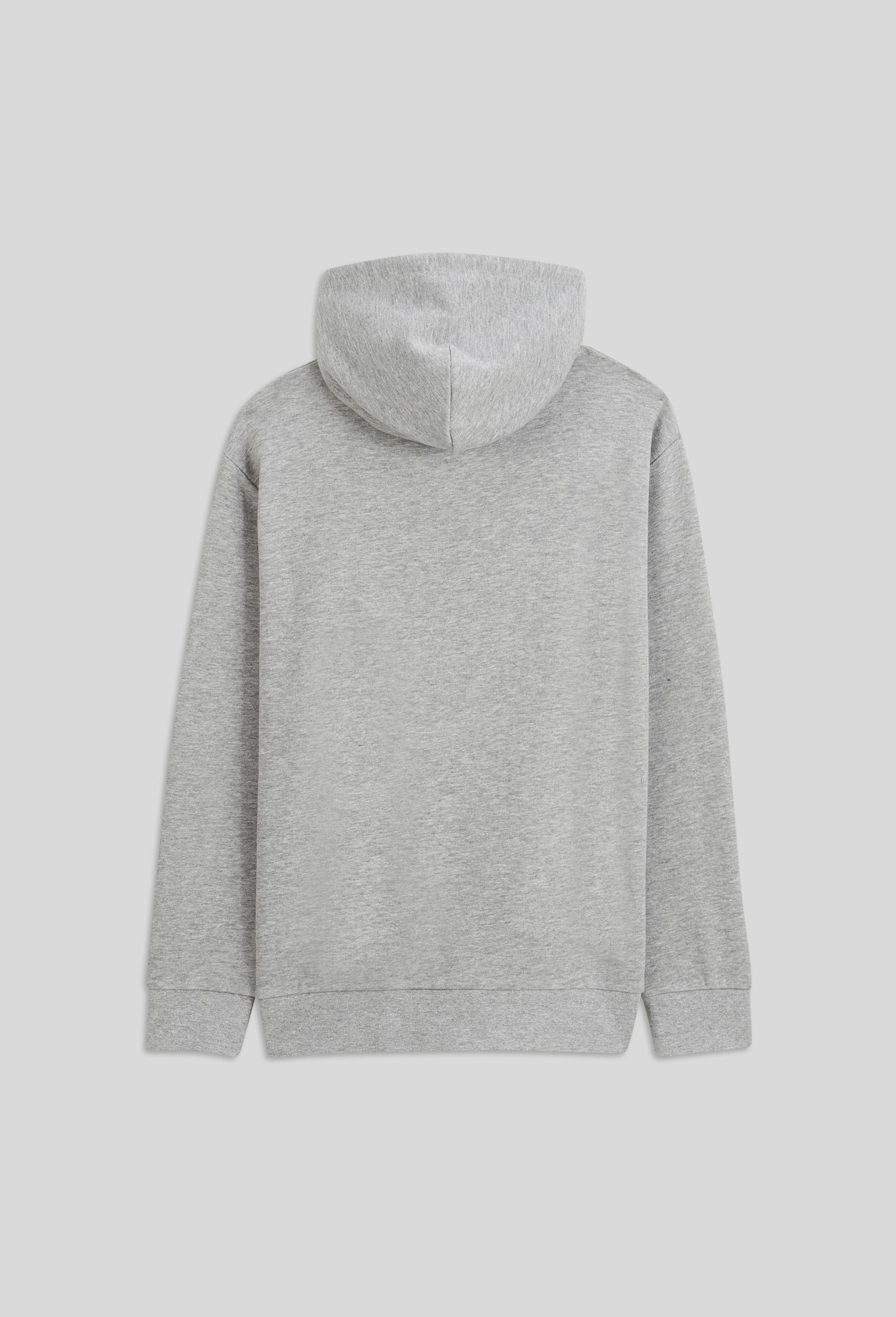 Sweat &agrave; capuche uni avec imprim&eacute; en coton BIO, Gris, large image number 2