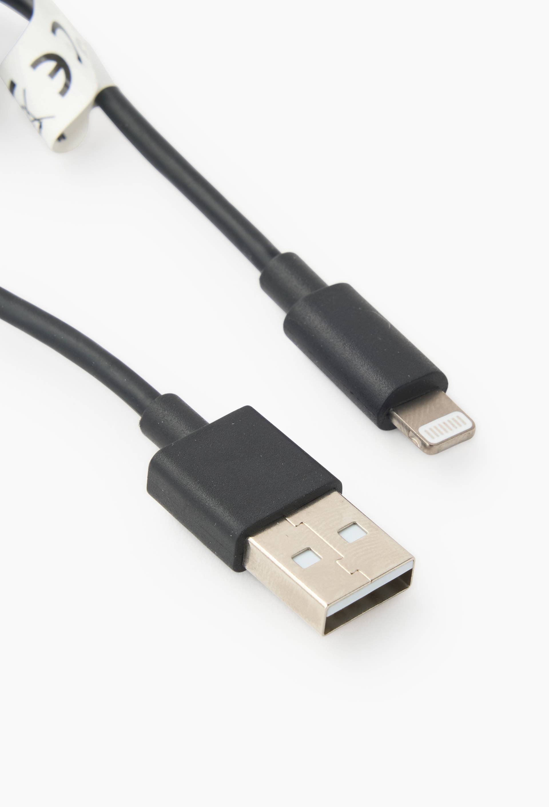 C&acirc;ble usb vers lightning, 1m, Noir, large image number 1.0