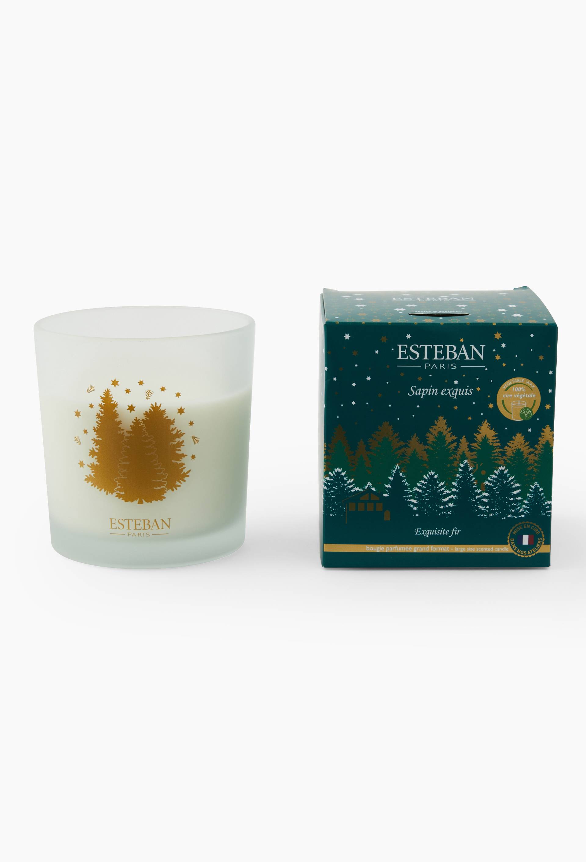 Bougie parfumée, 450g, sapin exquis, Vert foncé, large image number 0