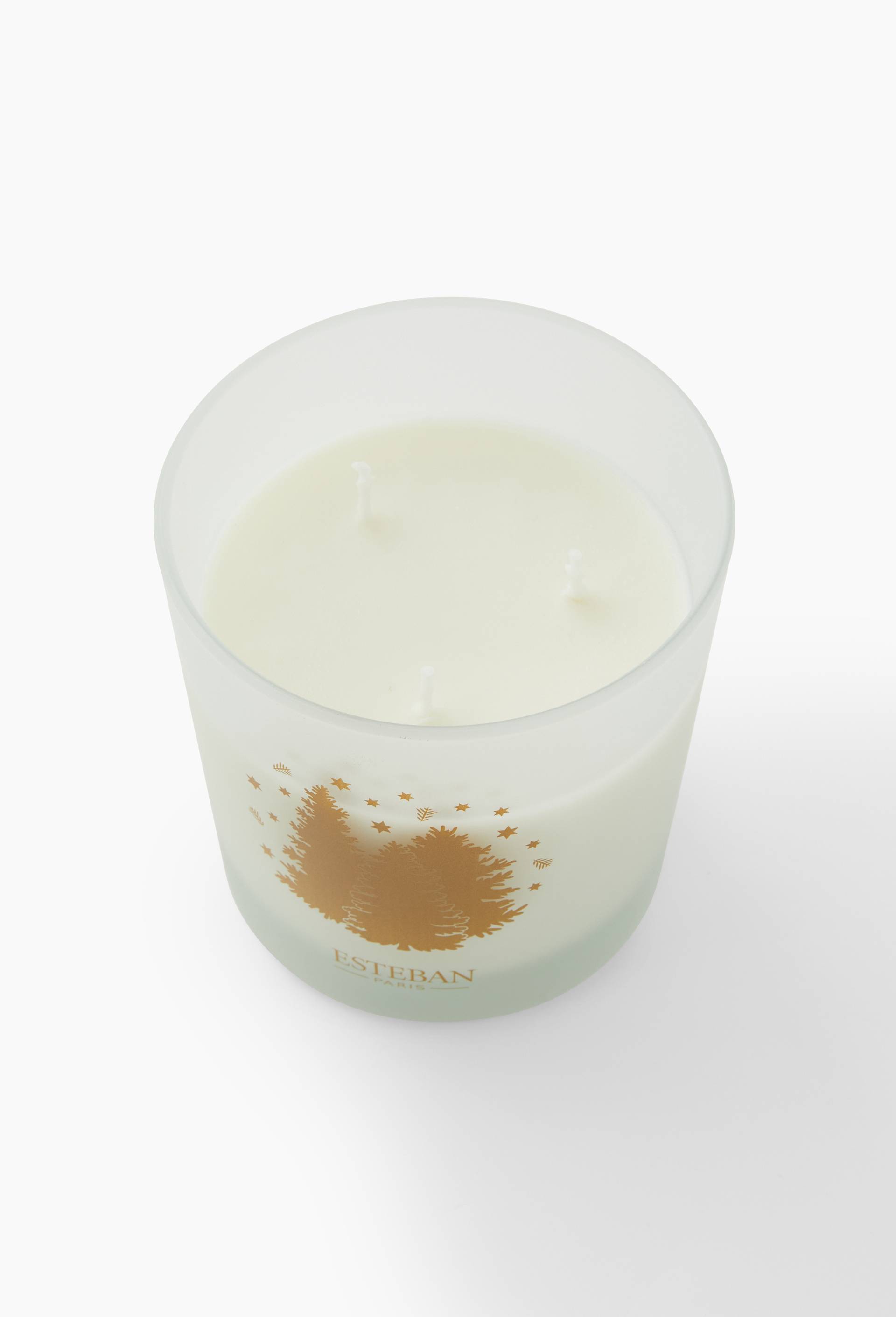 Bougie parfumée, 450g, sapin exquis, Vert foncé, large image number 1.0