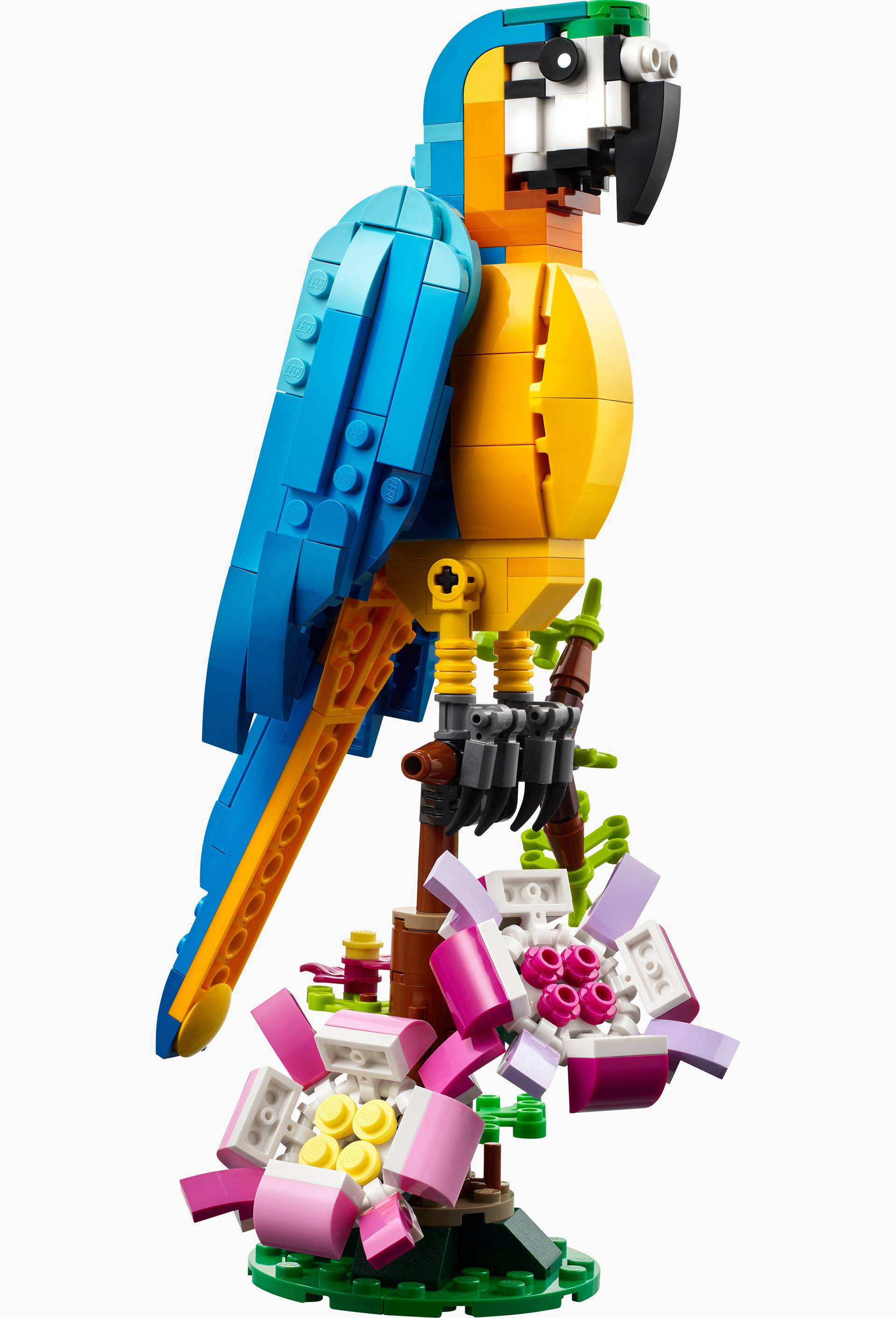 31136 - Lego creator - Le perroquet exotique, Multicolore, large image number 1.0
