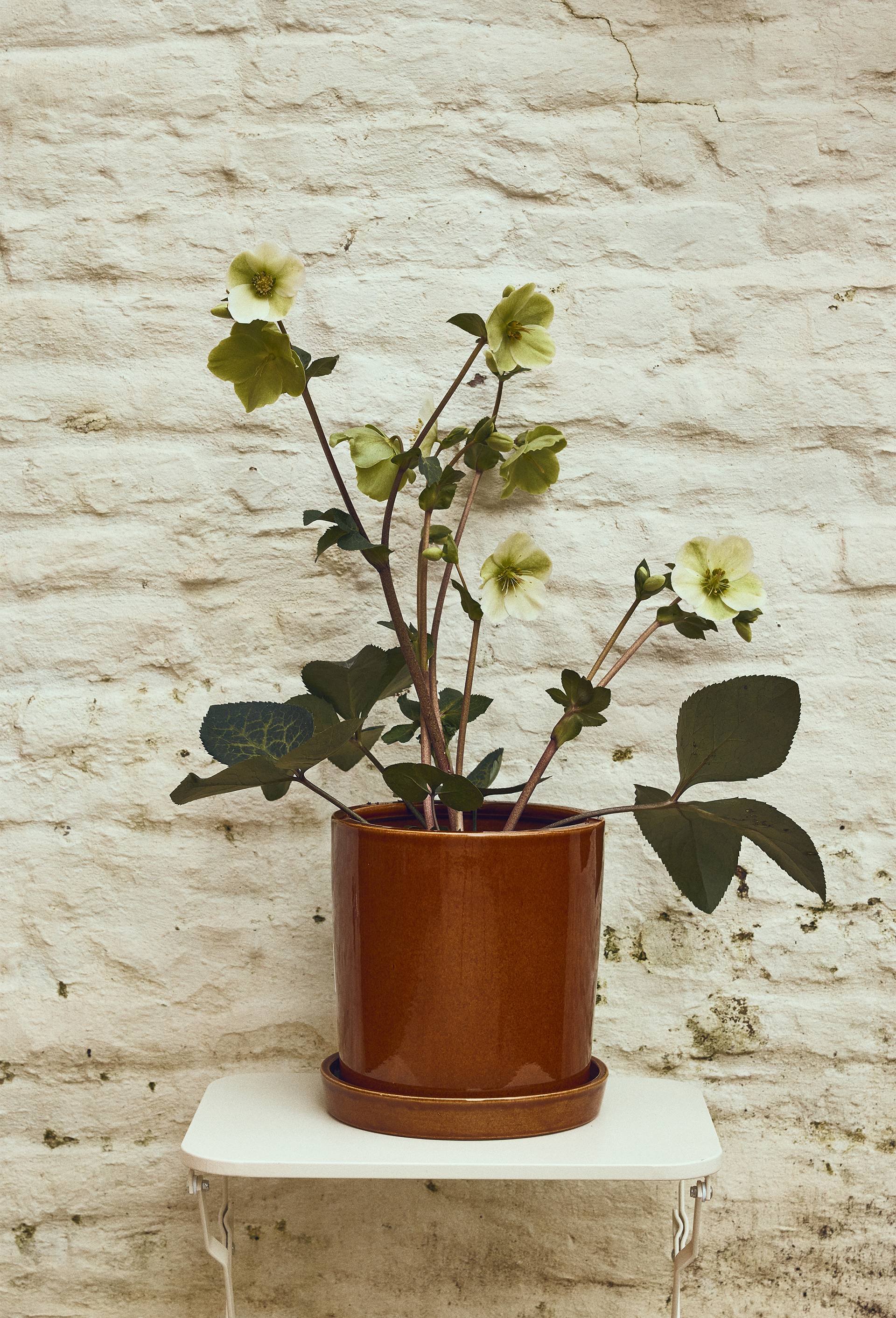Cache-pot  et soucoupe, 21x22cm, en c&eacute;ramique, Brun, large image number 0.0