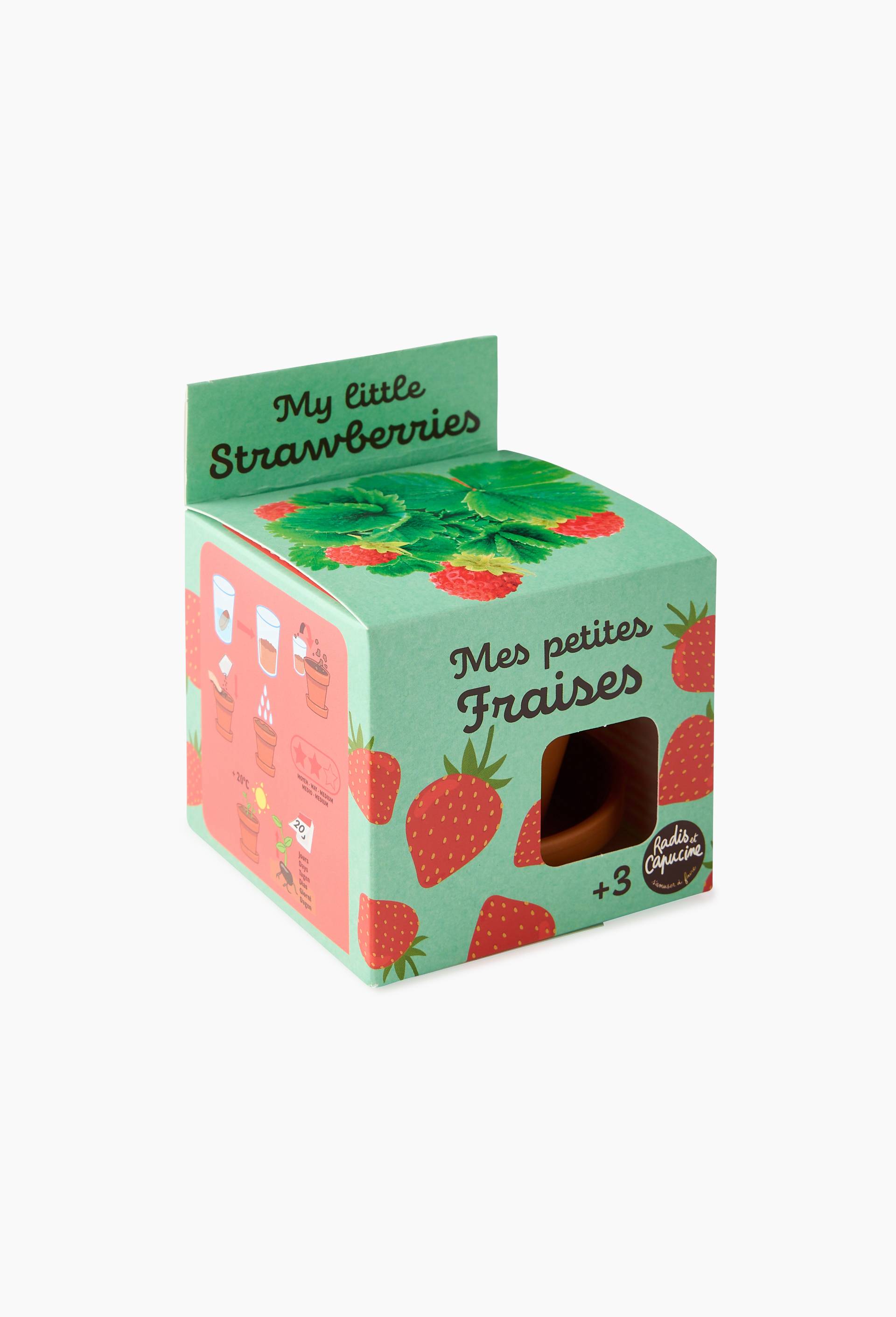 Pot fraisier avec coupelle, 8cm, en terre cuite ,10* 8*8 cm, Beige clair, large image number 0