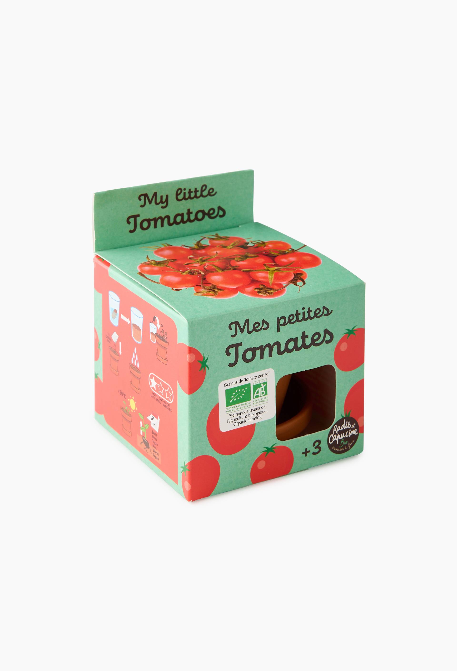 Pot tomate cerise avec coupelle, 8cm, en terre cuite,10*8*8 cm, Beige clair, large image number 0