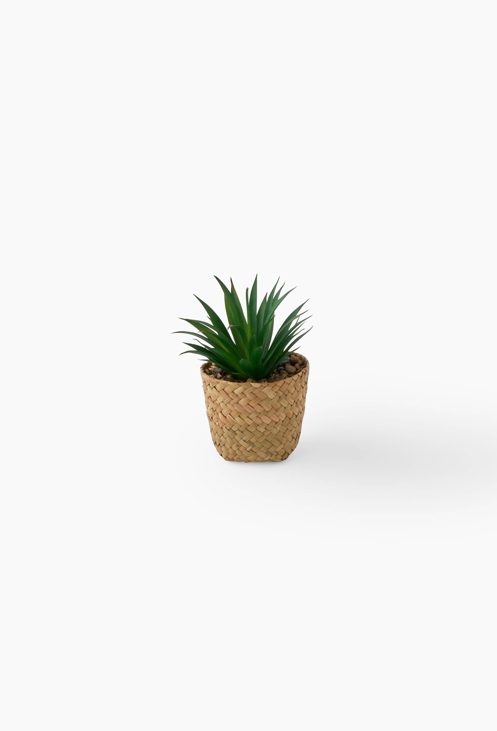 Petite plante artificielle succulente dans panier tress&eacute; , D12x18 cm, plastique PE et bambou, Vert fonc&eacute;, large image number 0