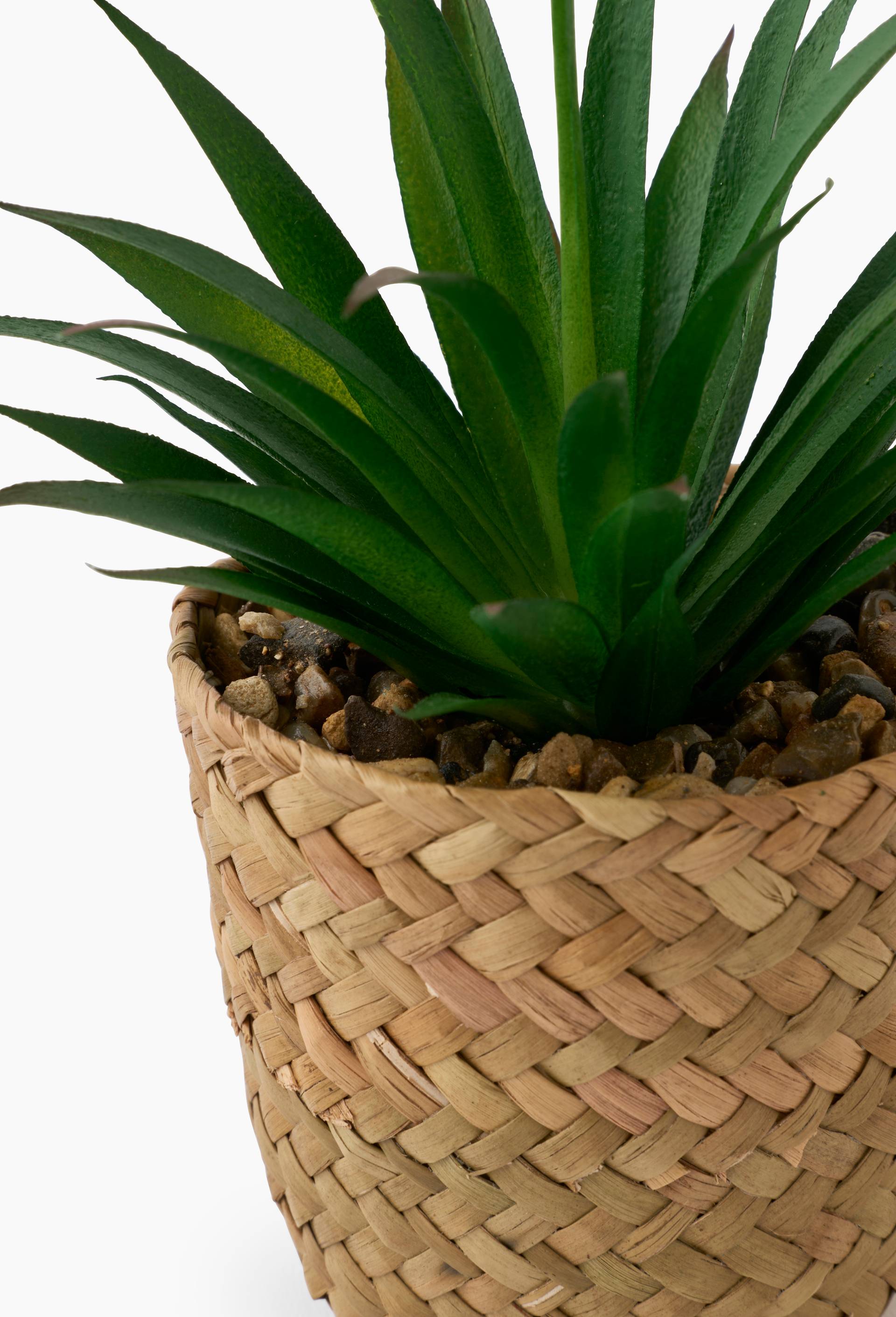 Petite plante artificielle succulente dans panier tress&eacute; , D12x18 cm, plastique PE et bambou, Vert fonc&eacute;, large image number 1