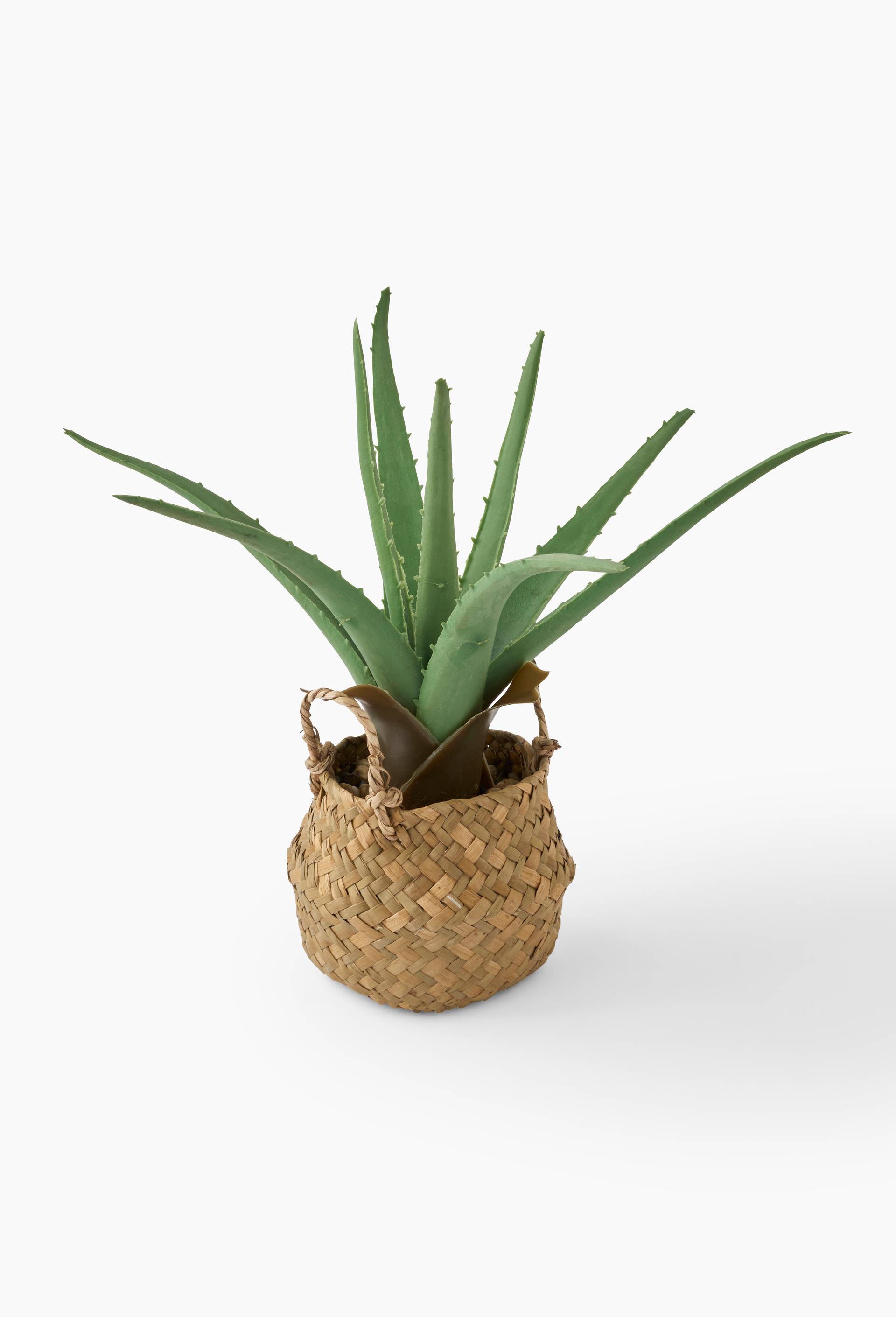 Petite plante artificielle aloe vera dans un panier tress&eacute; avec anse,11*11*29 cm, en plastique et PE, Vert fonc&eacute;, large image number 0
