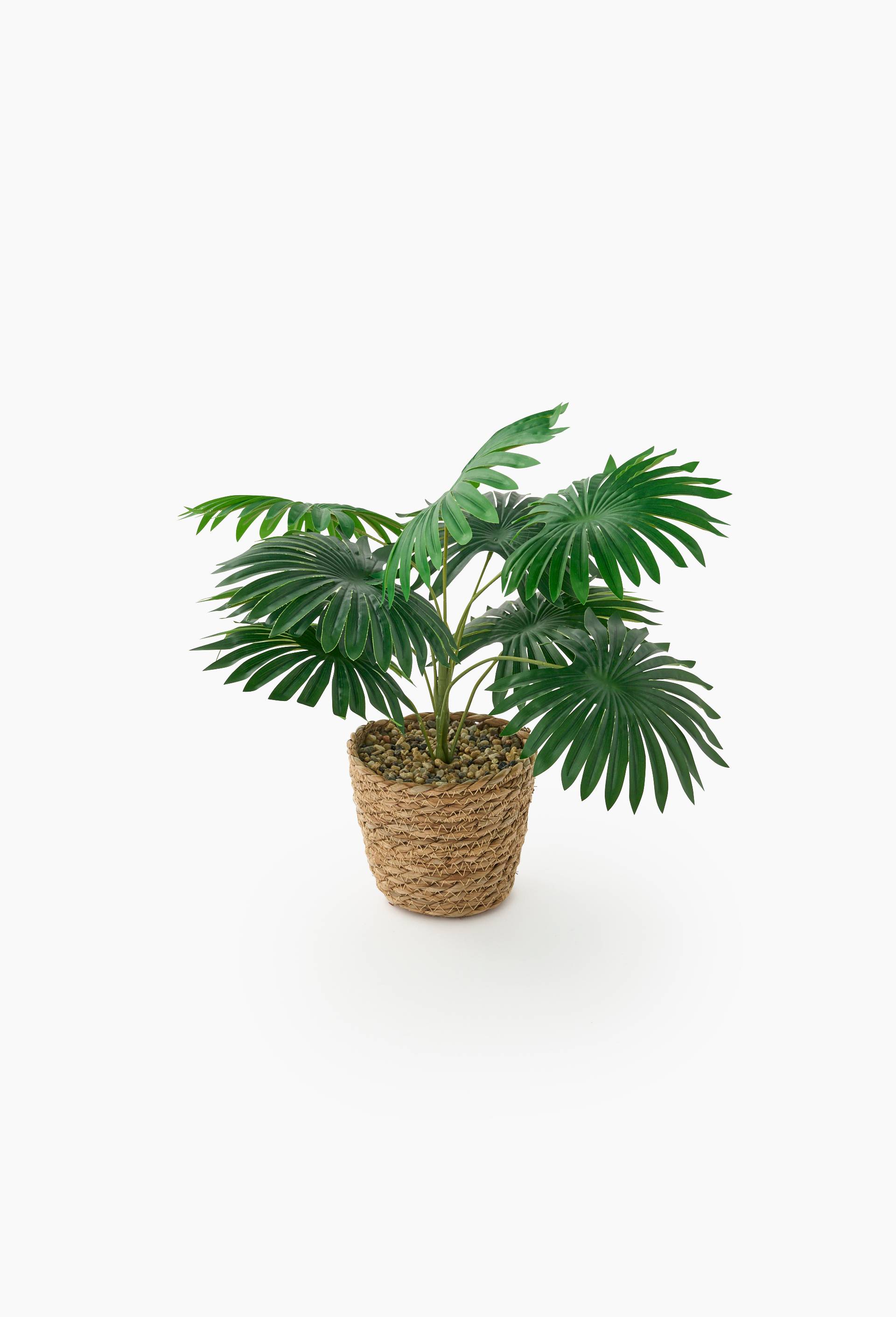 Plante artificielle palmier dans un panier tress&eacute; en jacinthe d'eau, 43x12,5cm, en plastique, PE et paille, Vert fonc&eacute;, large image number 0