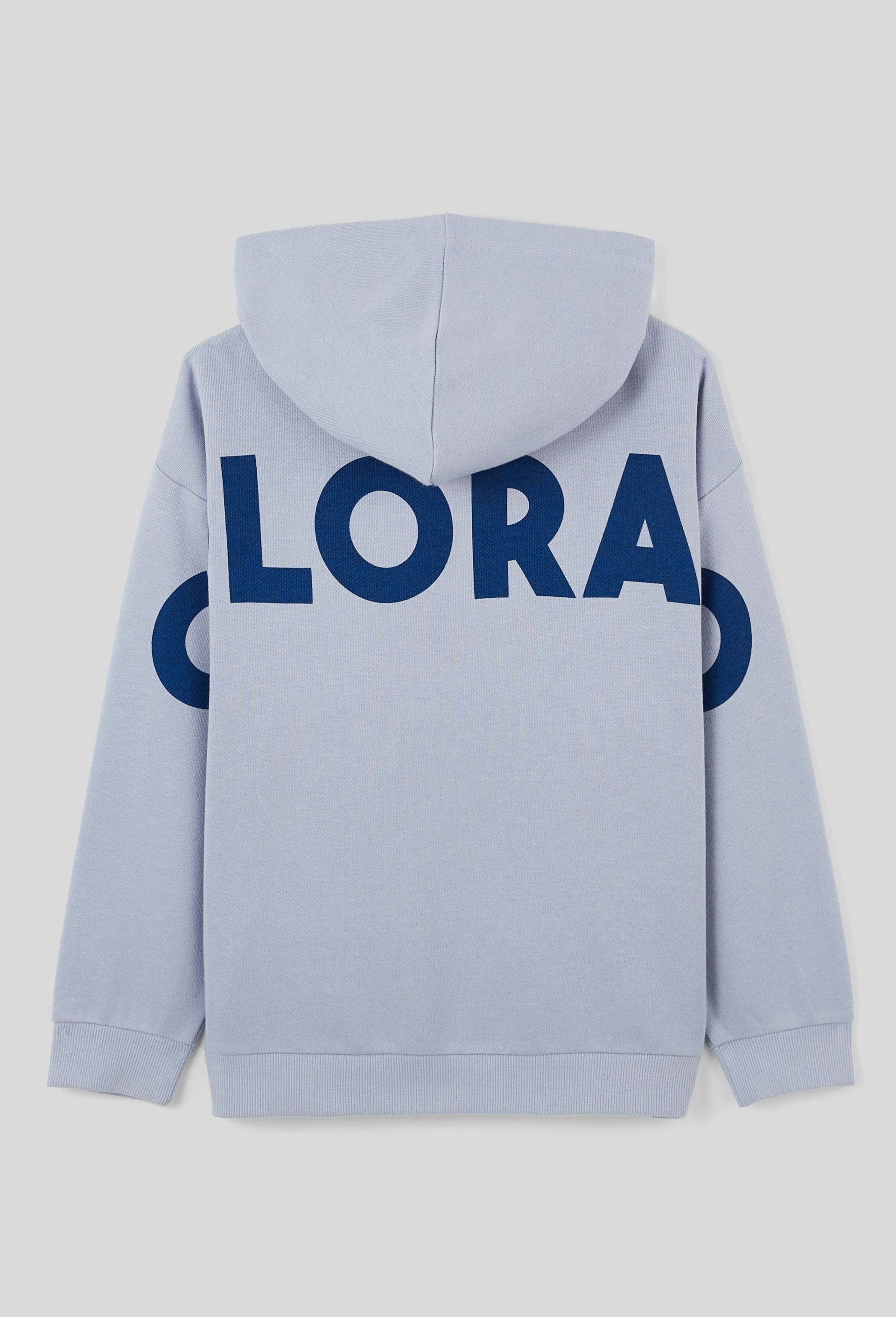 Sweat à capuche imprimé dans le dos contenant en coton BIO BLEU