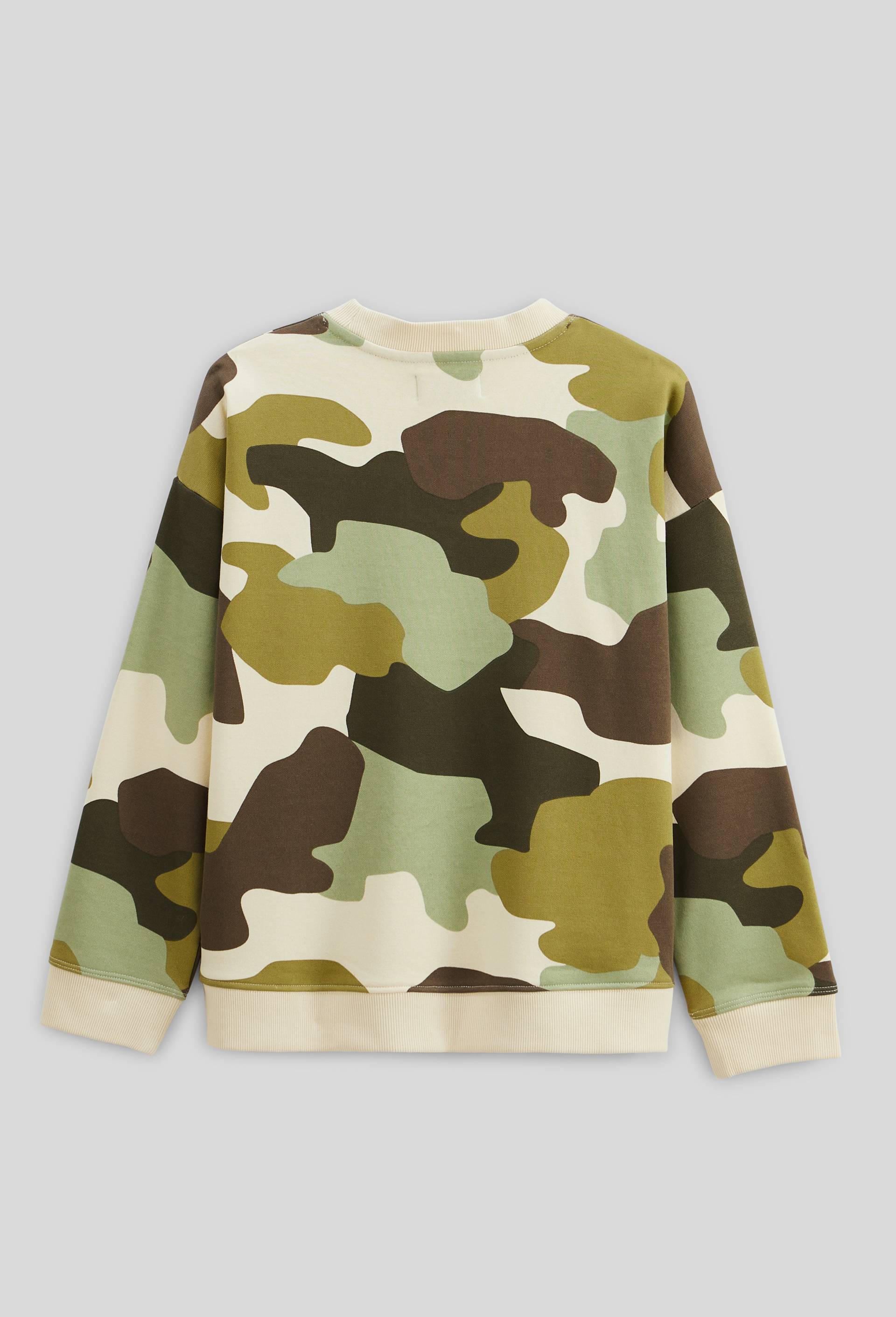 Sweat imprim&eacute; en coton BIO GOTS, Beige clair, large image number 2.0