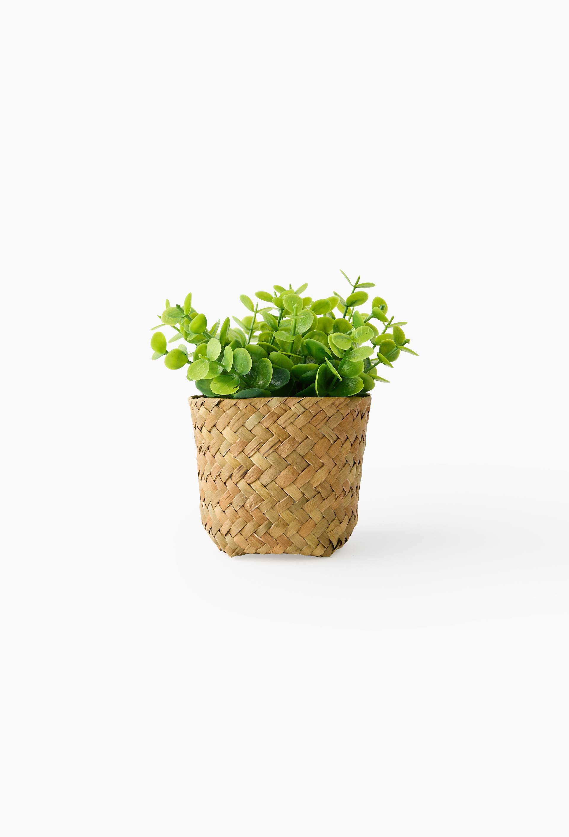 Plante artificielle multi feuille, 14x14x15 cm, en plastique PE et bambou, , large image number 0.0