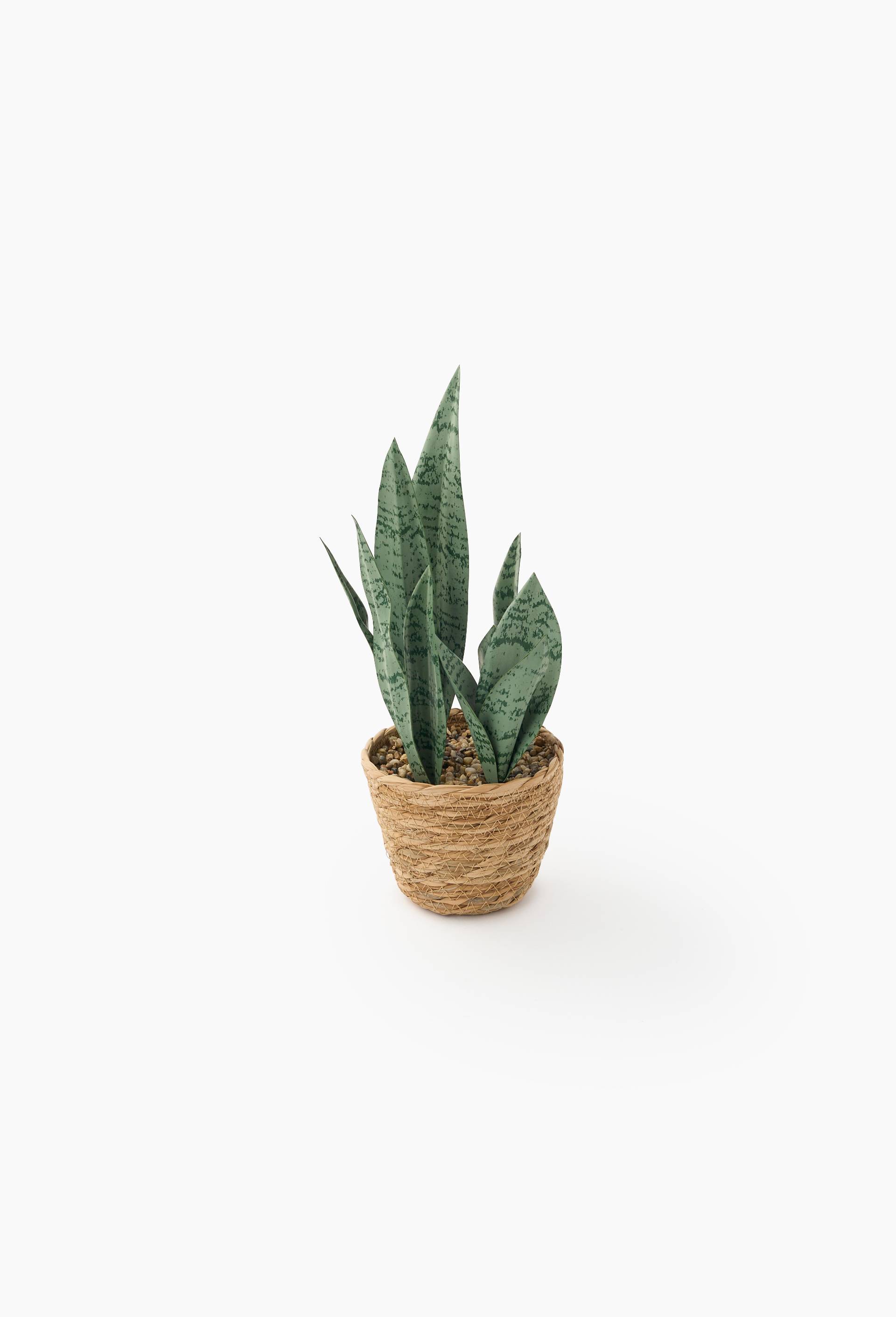 Plante artificielle langue de belle-m&egrave;re, 12,5X12,5X38 cm , plastique PE et paille, Beige clair, large image number 0