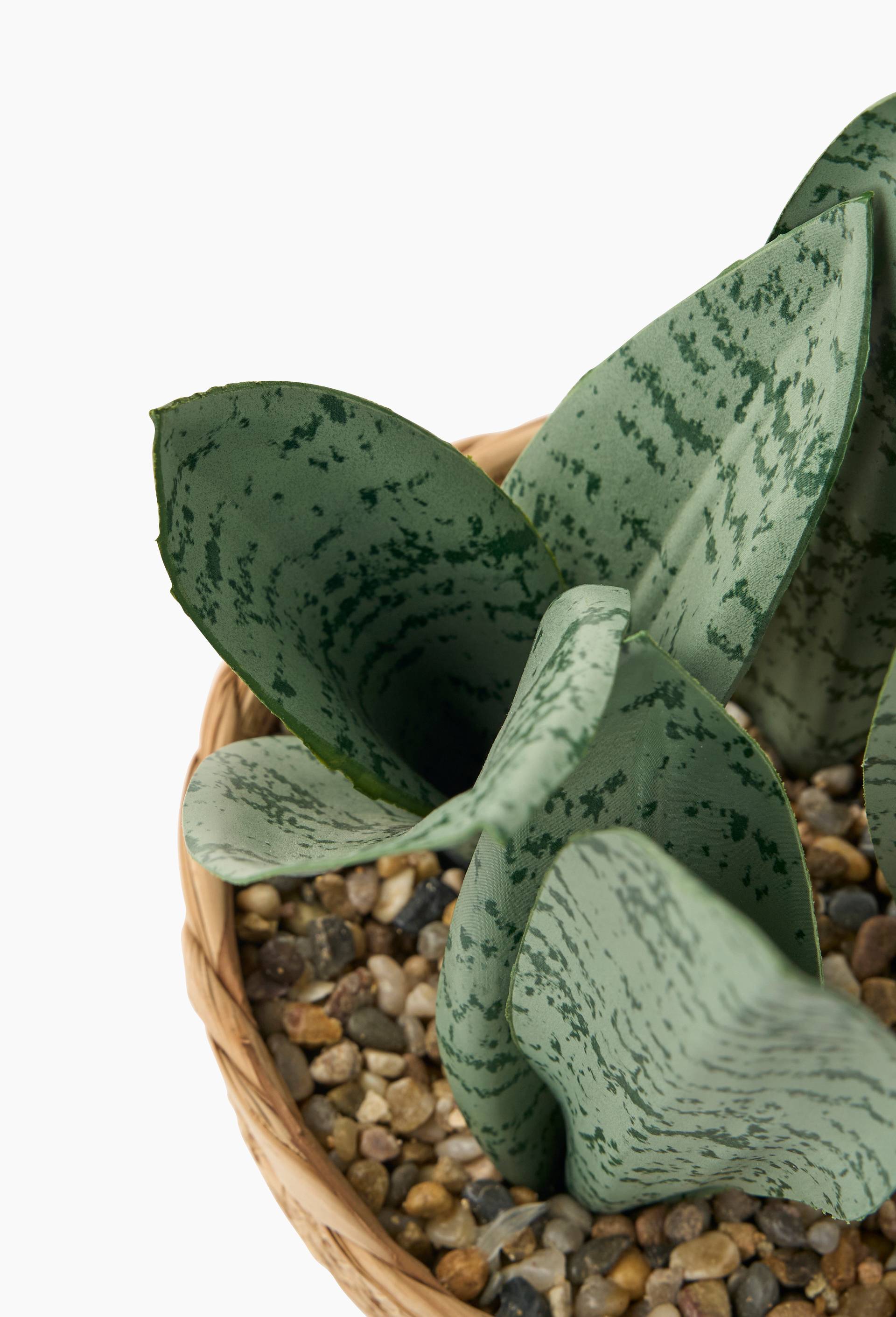 Plante artificielle langue de belle-m&egrave;re, 12,5X12,5X38 cm , plastique PE et paille, Beige clair, large image number 1