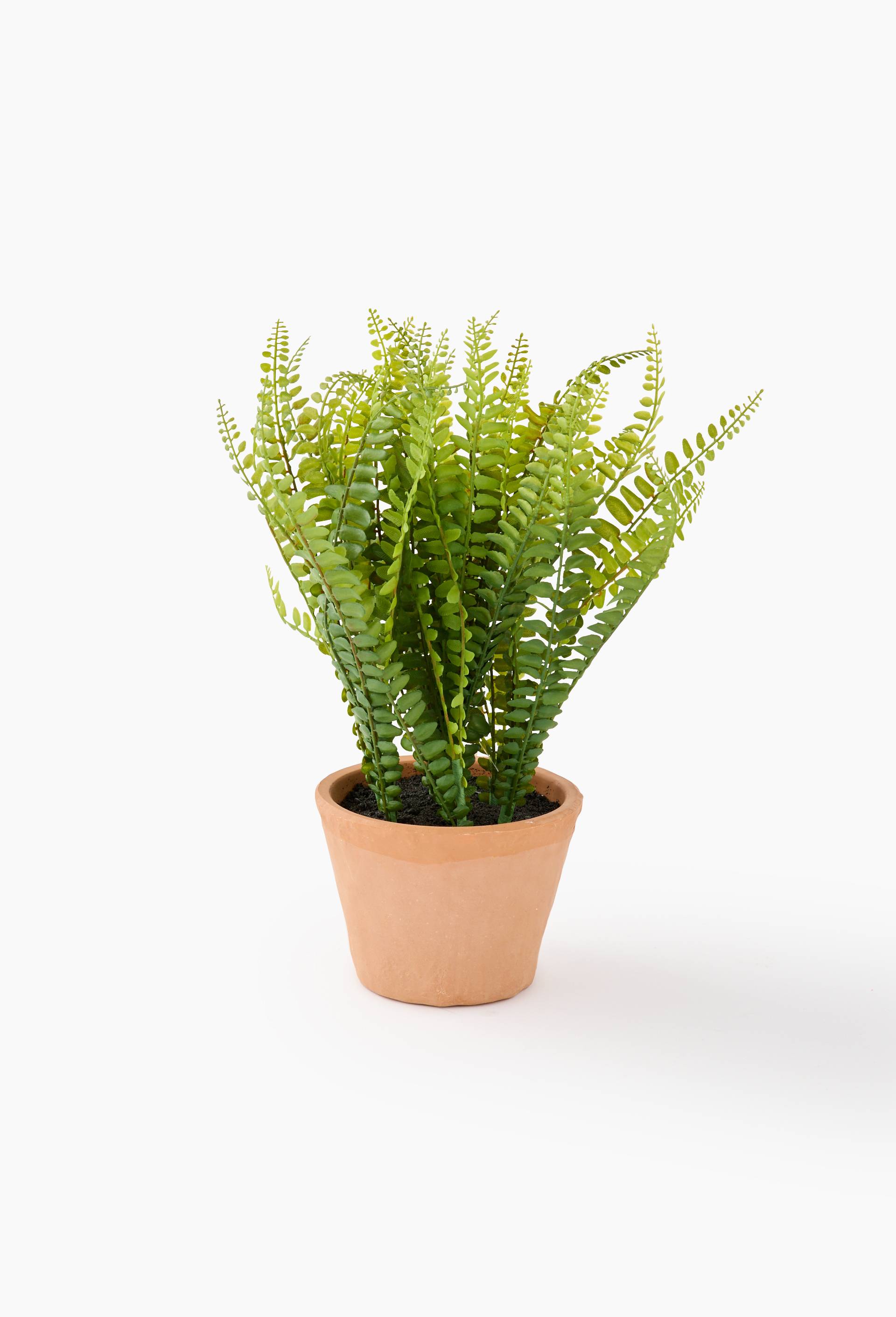 Plante  artificielle foug&egrave;re dans pot terre cuite, 14x14x34 cm, en plastique et terre, , large image number 0