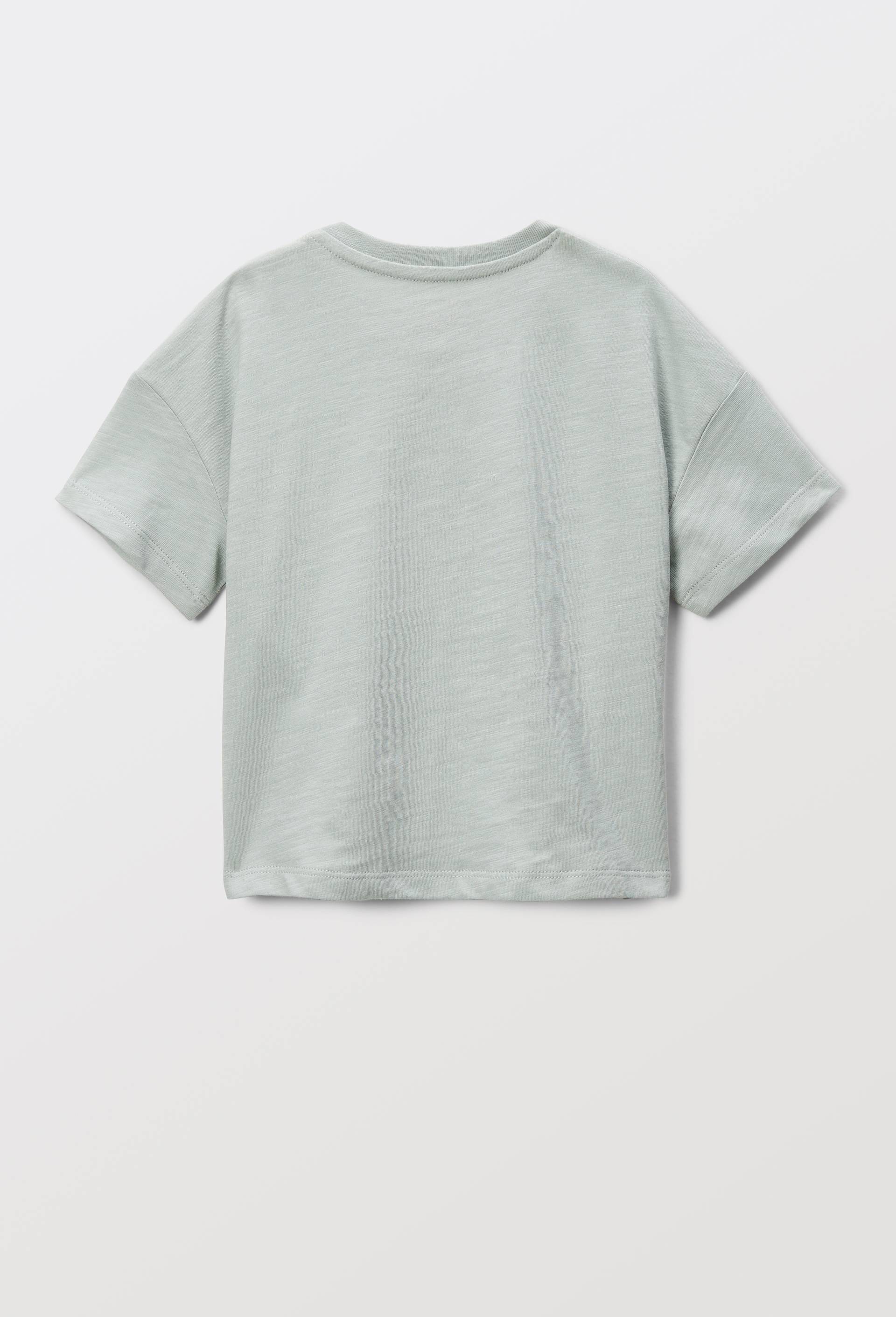 T-shirt manches courtes imprimé en coton BIO GOTS, Vert clair, large image number 1