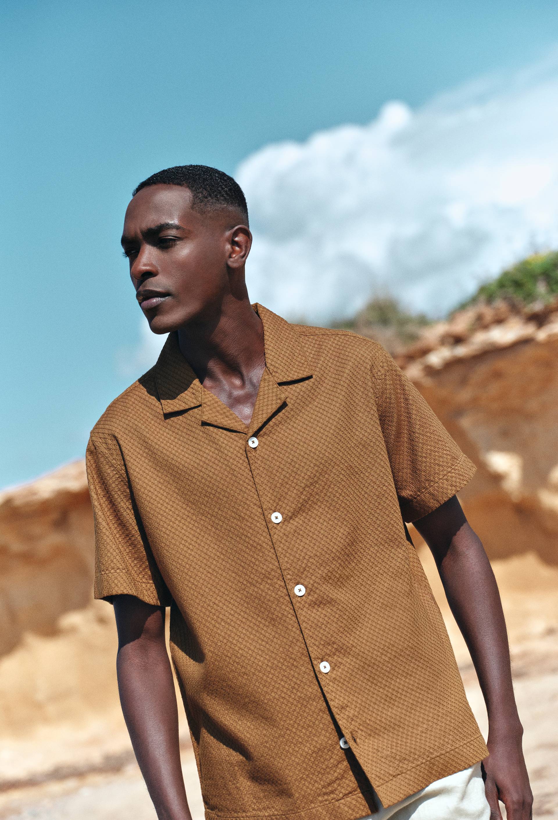 Chemise manches courtes en coton BIO GOTS, Vert fonc&eacute;, large image number 0