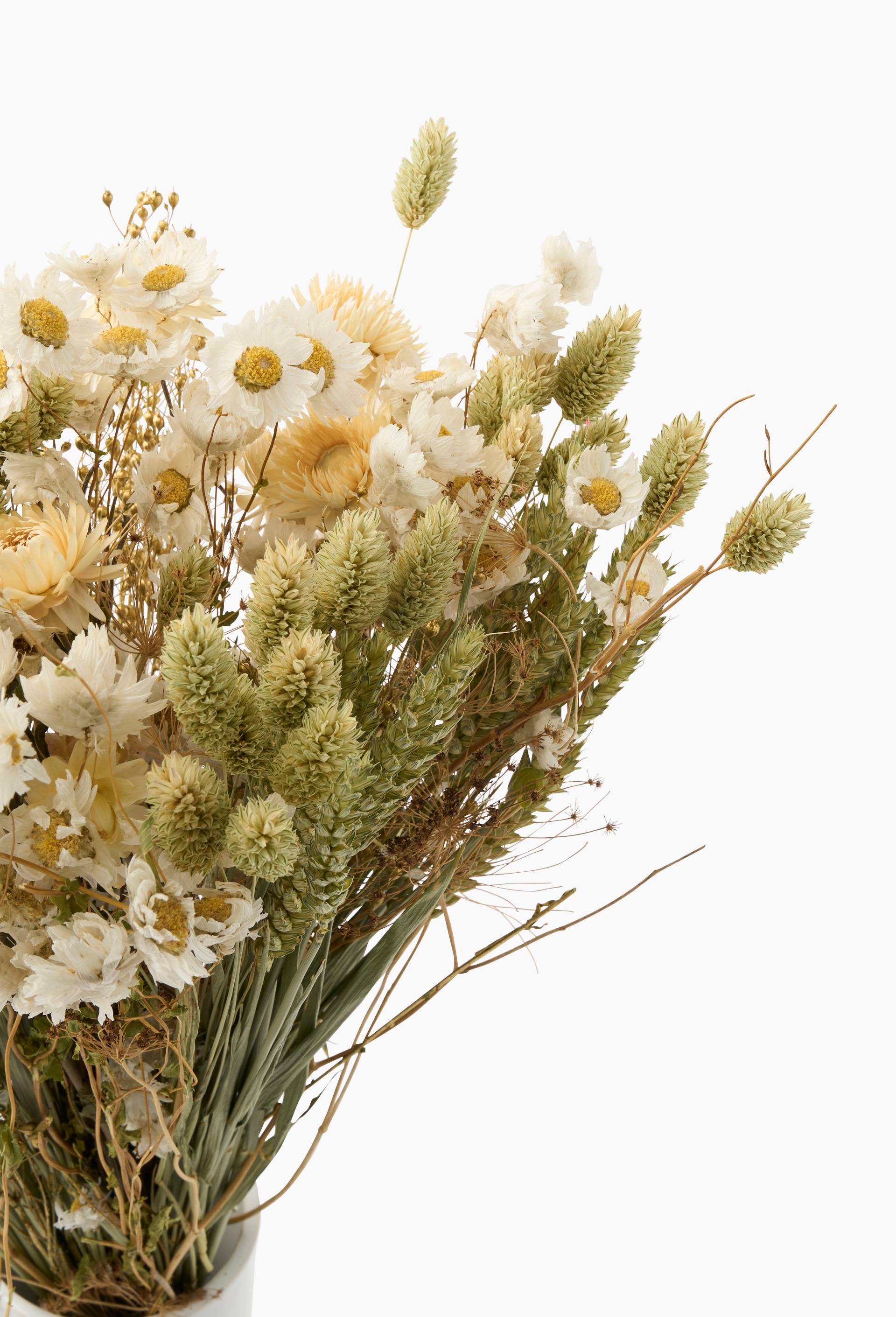 Bouquet de fleurs s&eacute;ch&eacute;es XL naturel avec du lipidium dor&eacute;, Multicolore, large image number 1