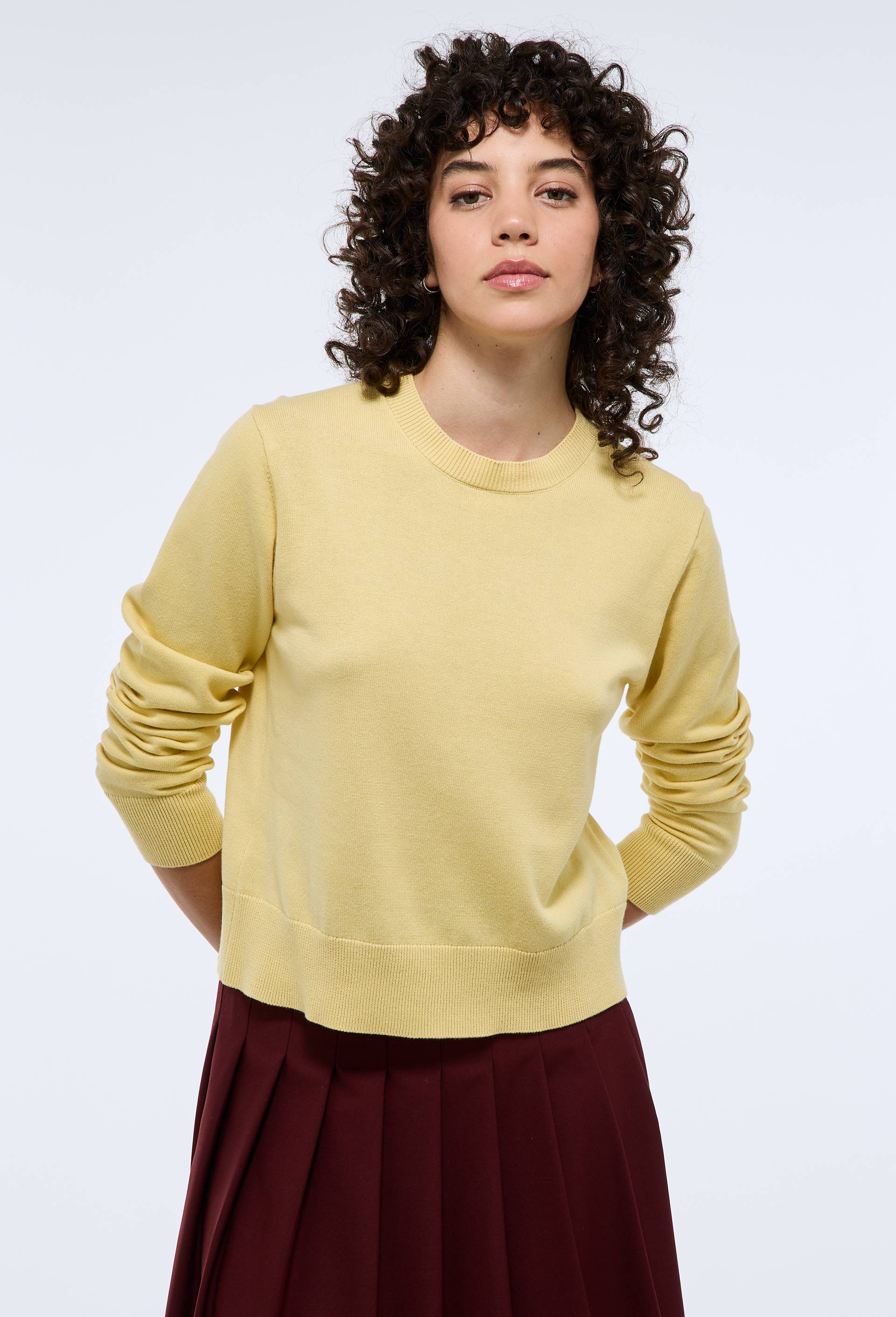 Pull uni à manches longues en coton - MONOPRIX - Modalova