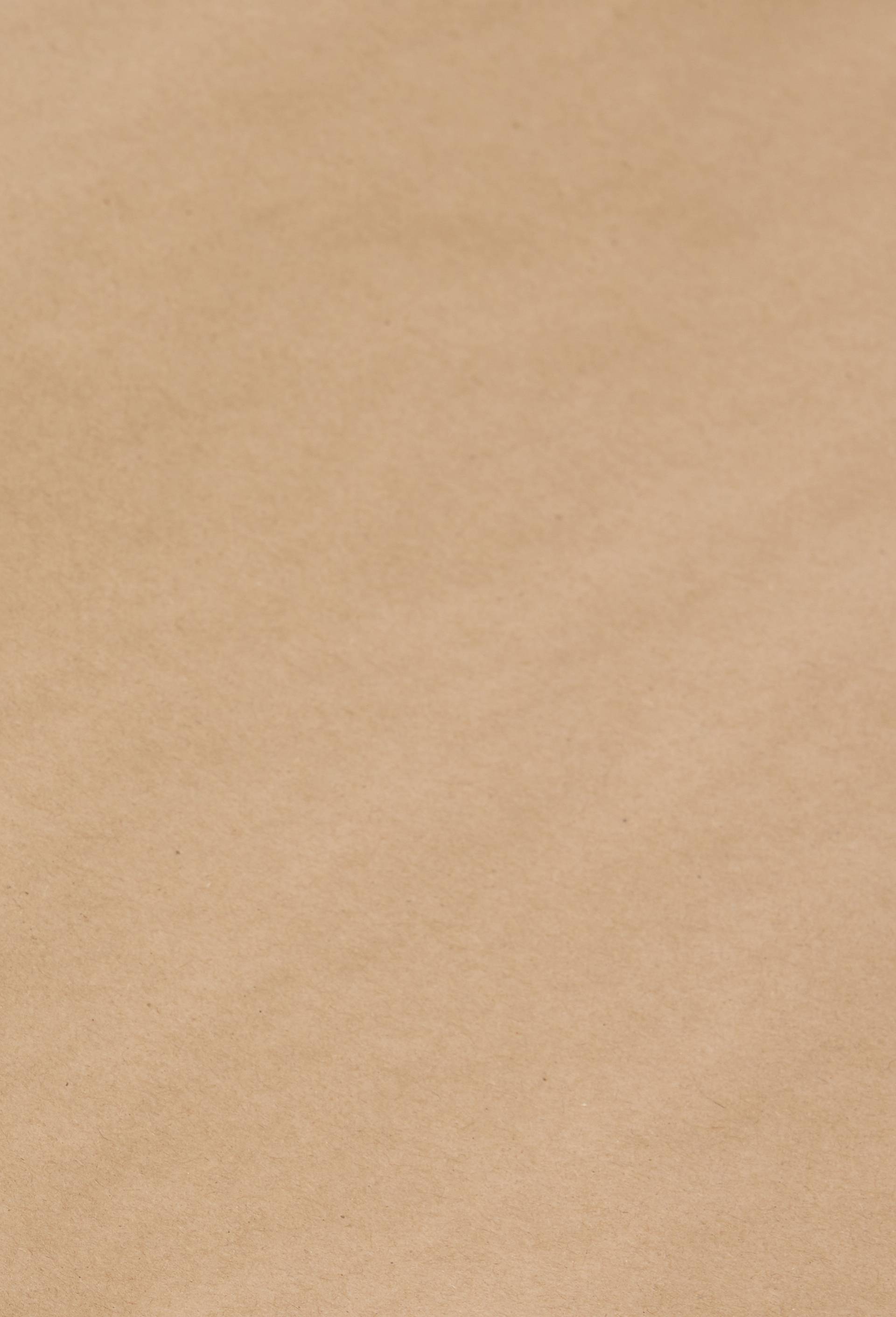 Rouleau papier cadeau, 2m, Brun, large image number 1.0