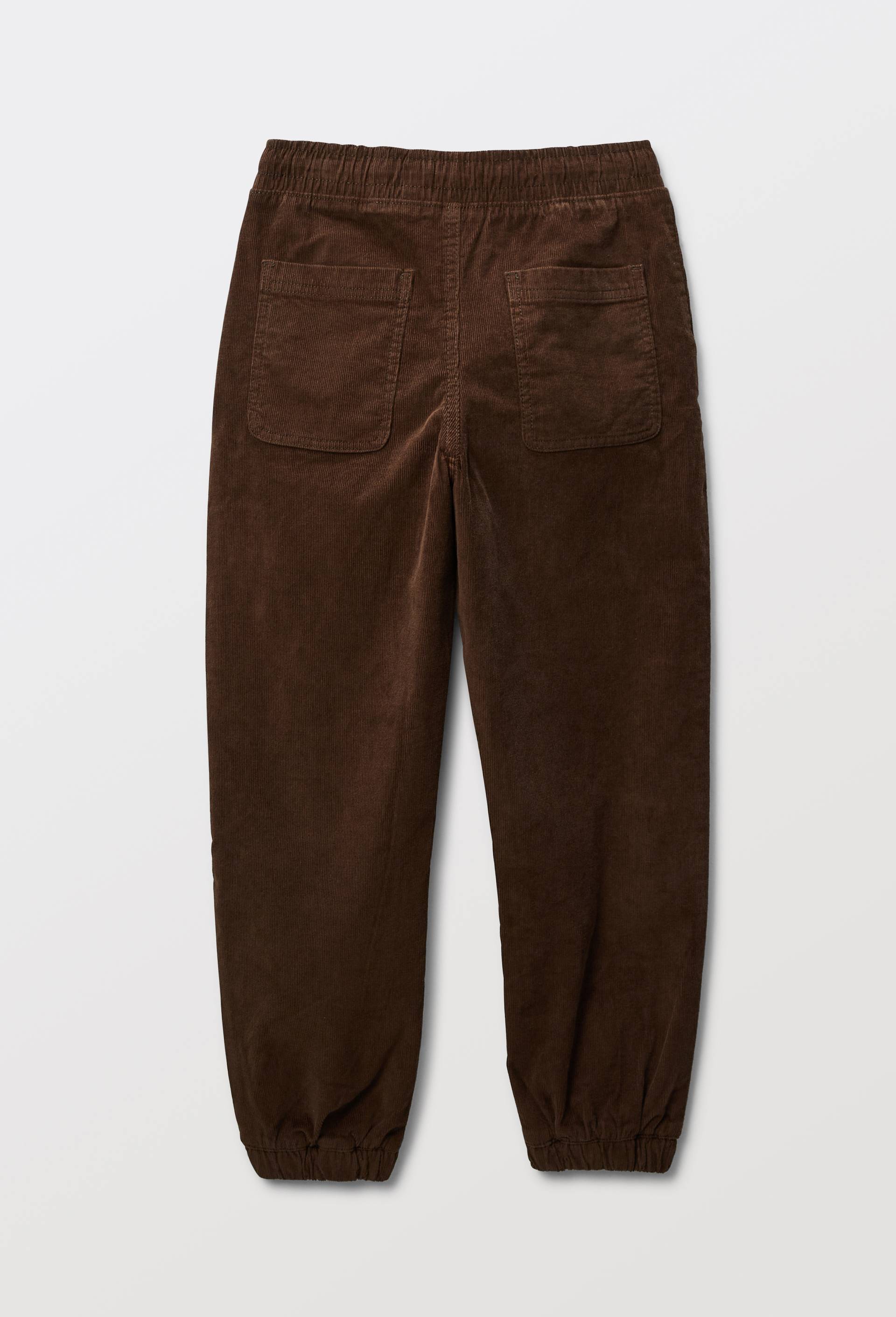 Pantalon taille &eacute;lastiqu&eacute;e en velours c&ocirc;tel&eacute; en coton, Brun, large image number 2.0