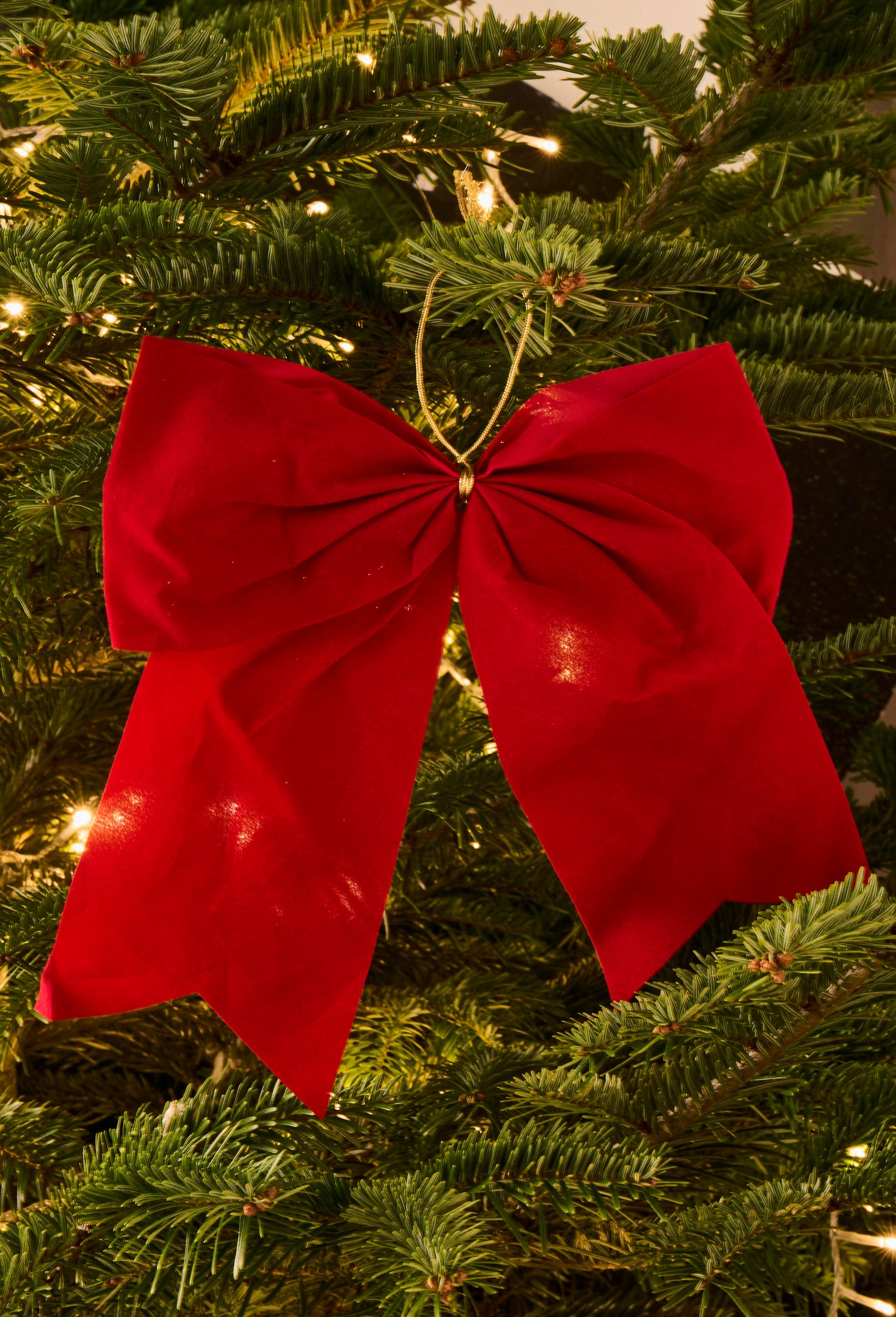 Noeud &agrave; accrocher, 10cm, en polyester, Rouge, large image number 0
