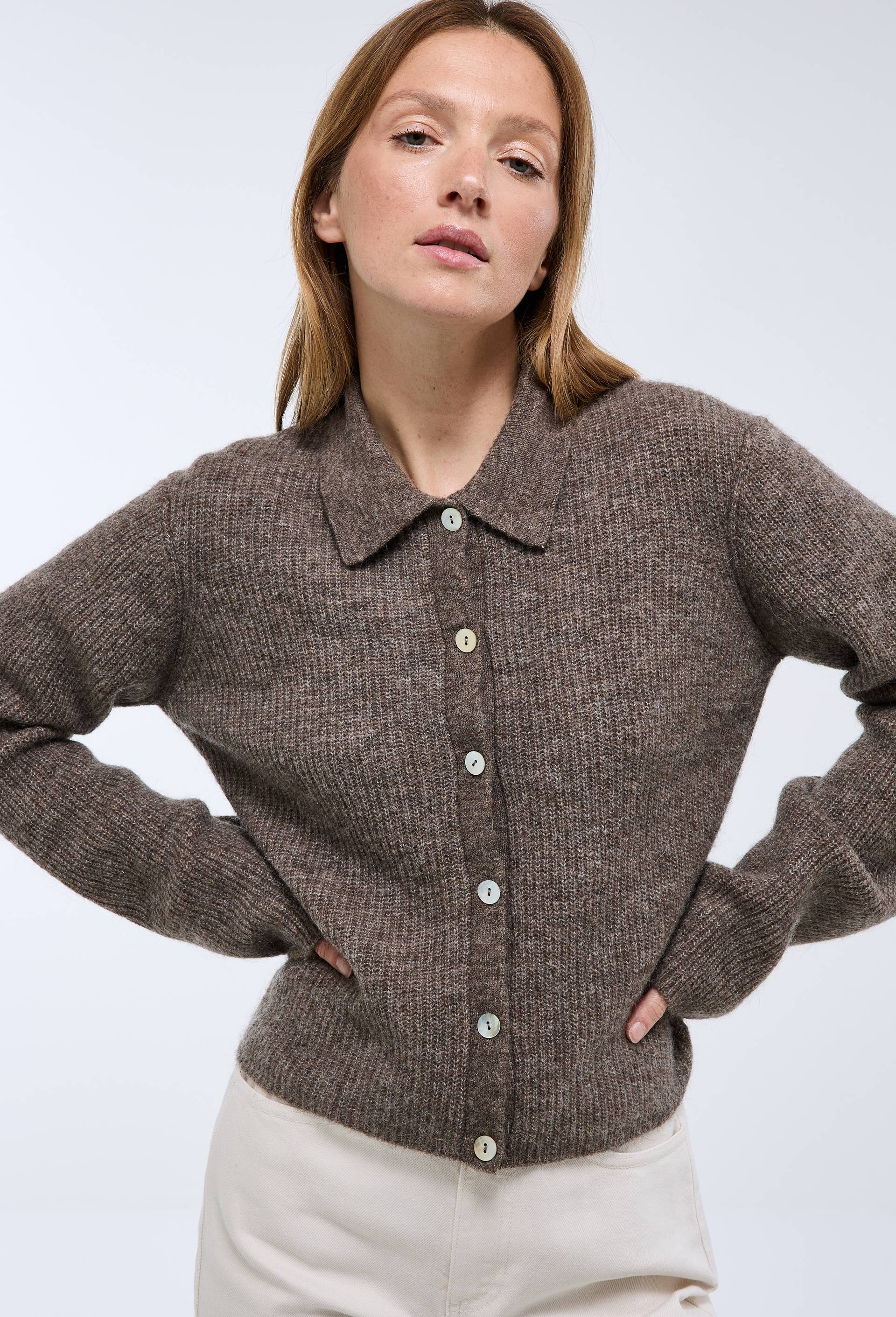 Cardigan col polo contenant de l'alpaga, Brun clair, large image number 0