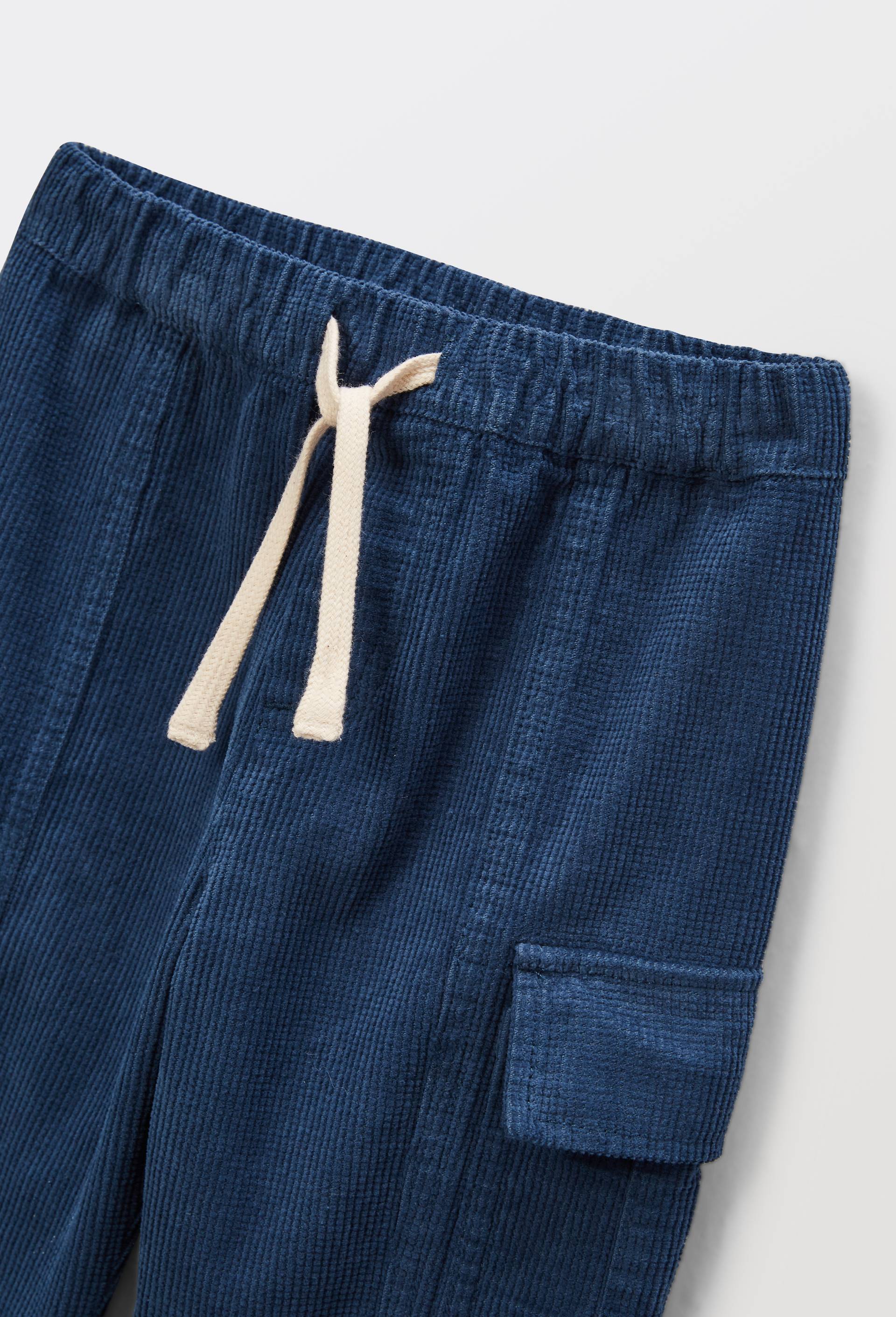 Pantalon en velours uni en coton BIO GOTS, Bleu, large image number 3