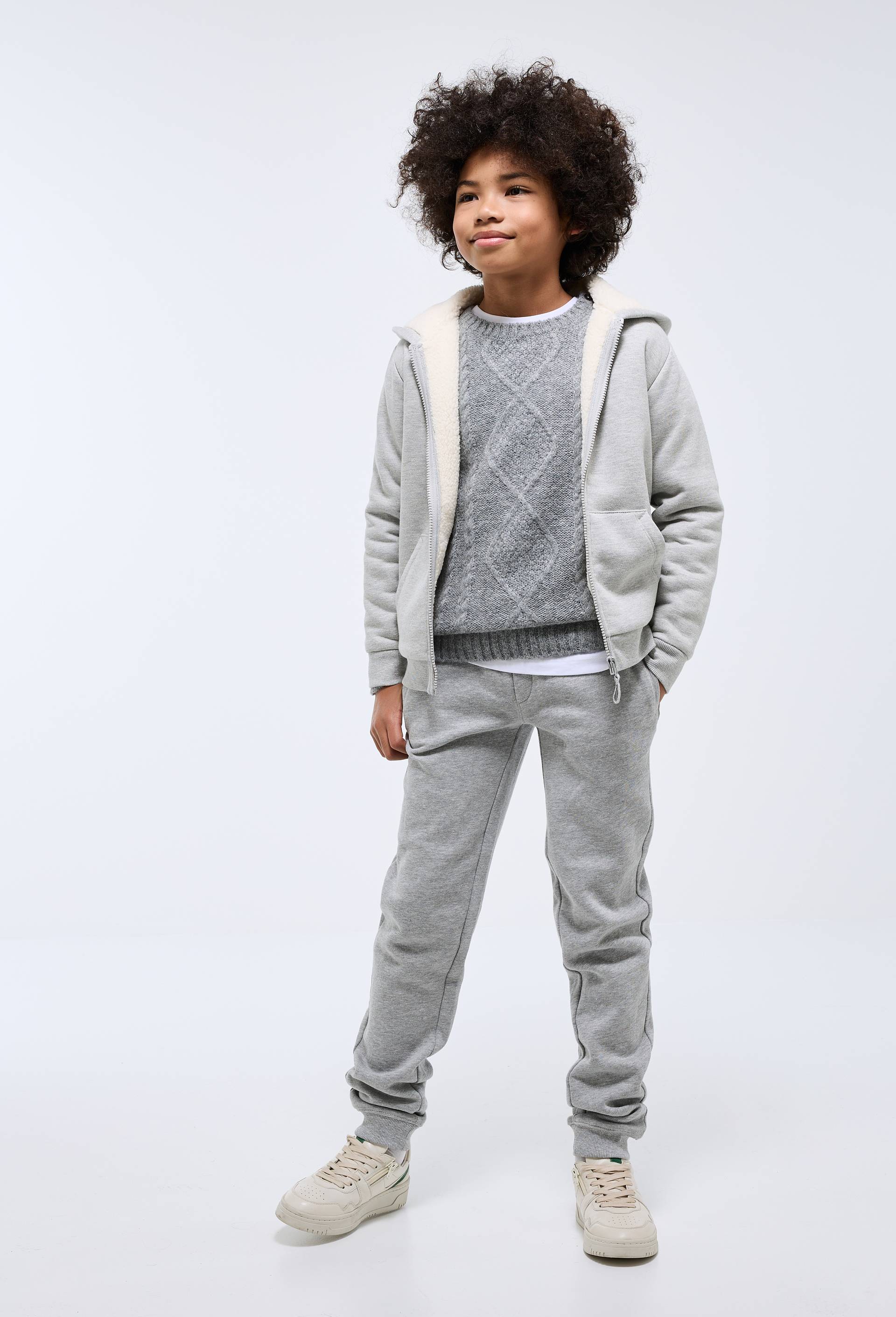 Sweat &agrave; capuche avec zip doubl&eacute; sherpa uni en coton BIO GOTS, Gris, large image number 1.0