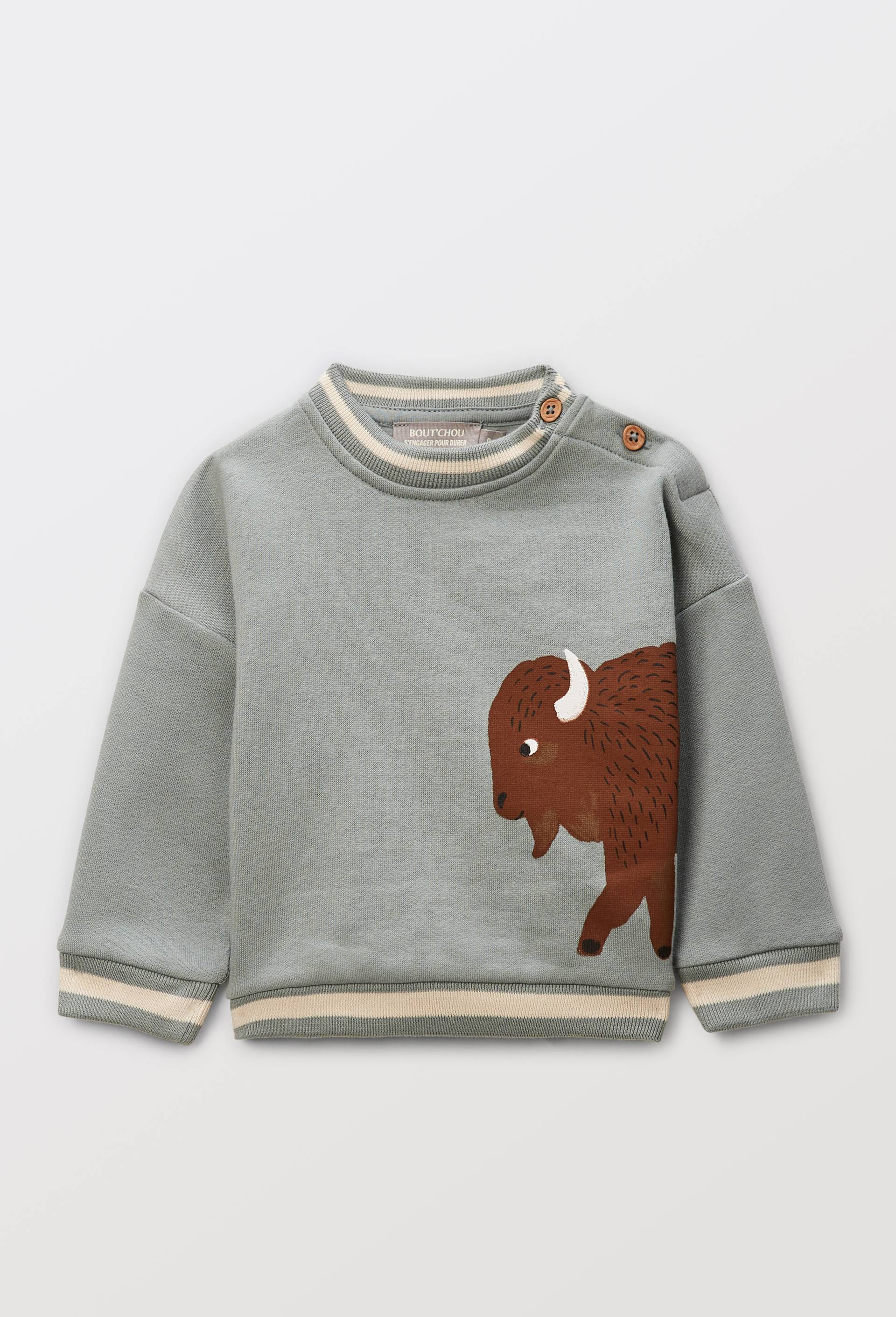 Sweat imprim&eacute; en coton BIO GOTS, Vert, large image number 0.0