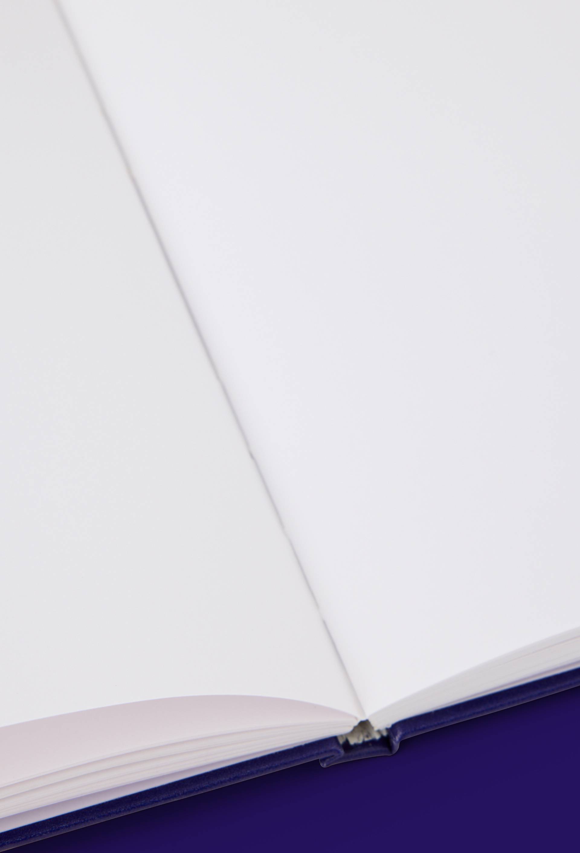 Carnet &eacute;toile Friedemann Hauss, A5 - STUDIO PRISUNIC x MONOPRIX, Multicolore, large image number 1.0