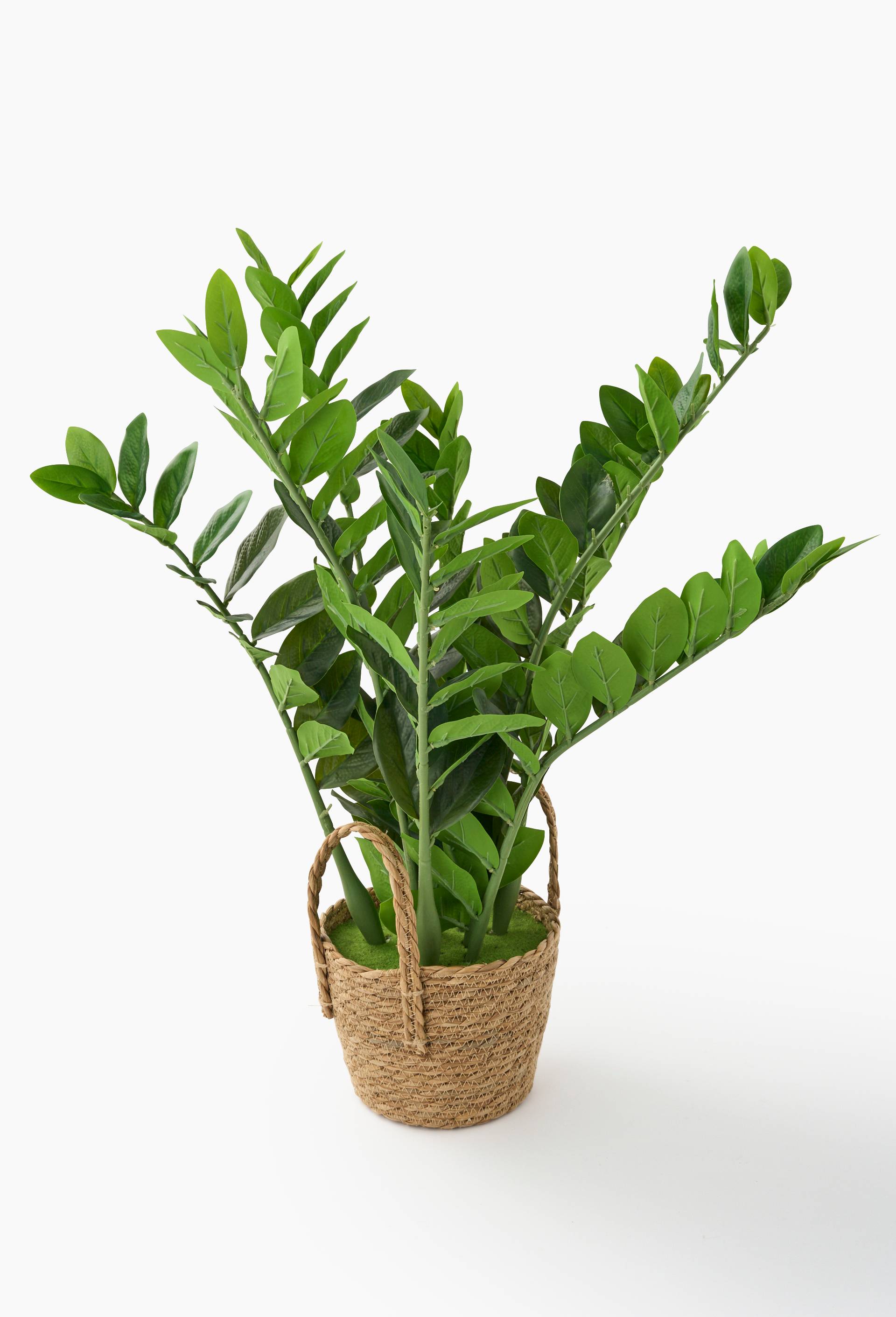 Plante artificielle, 65cm, majoritairement en plastique (poly&eacute;thyl&egrave;ne et polyester), Vert fonc&eacute;, large image number 0.0