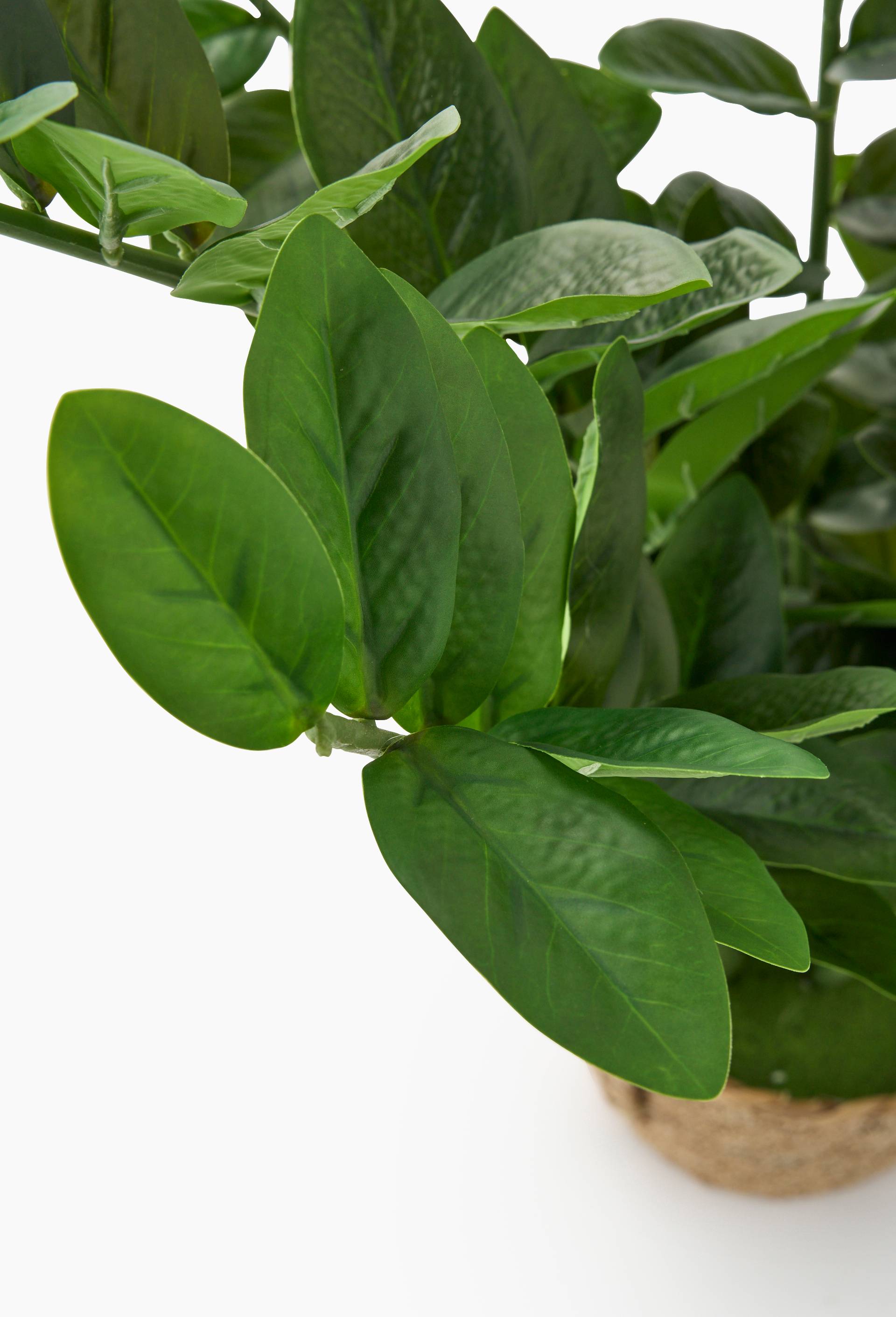 Plante artificielle, 65cm, majoritairement en plastique (poly&eacute;thyl&egrave;ne et polyester), Vert fonc&eacute;, large image number 1.0