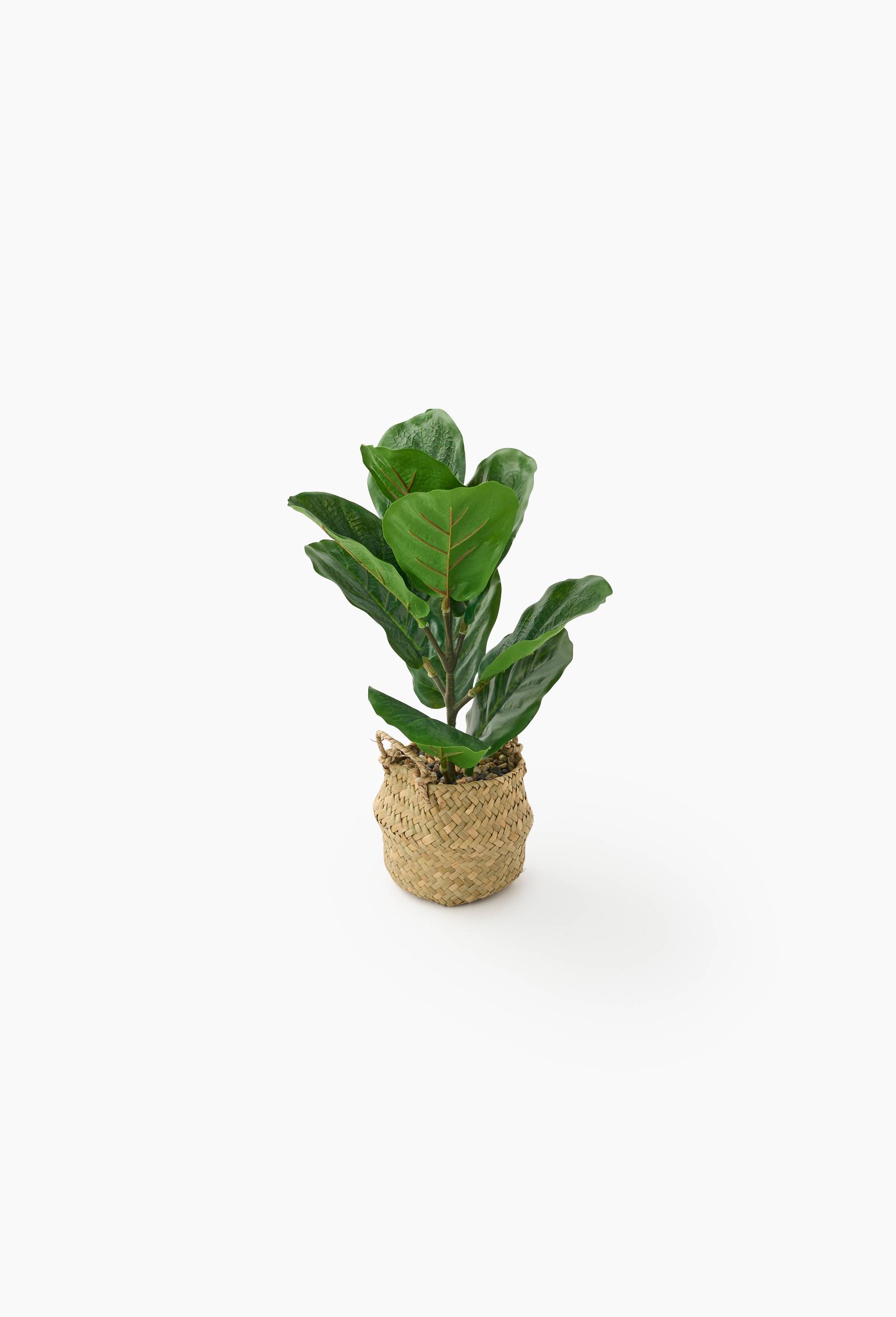 Plante artificielle dans un panier tress&eacute; avec anse, 11x11x37,5 cm, en plastique, Vert fonc&eacute;, large image number 0.0