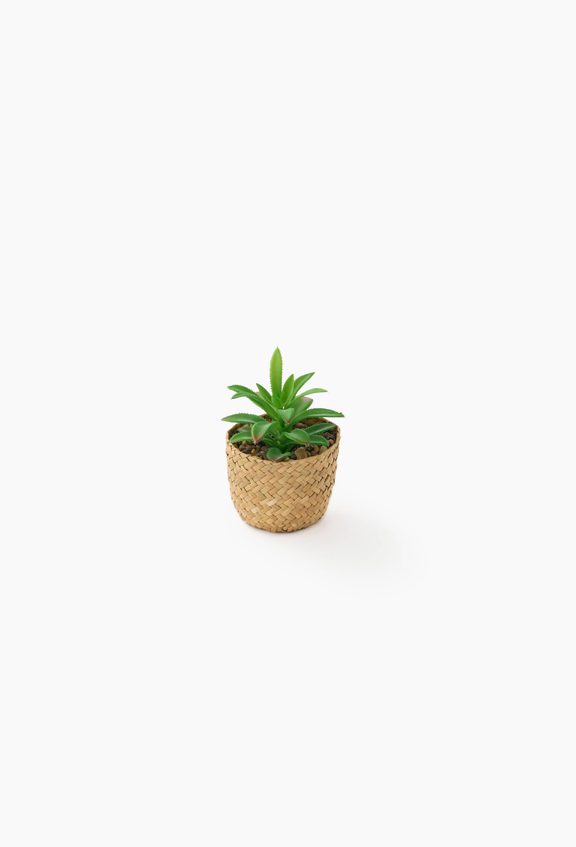 Plante grasse dans un panier tress&eacute;, 9x9x14cm, en plastique et rotin, Vert fonc&eacute;, large image number 0