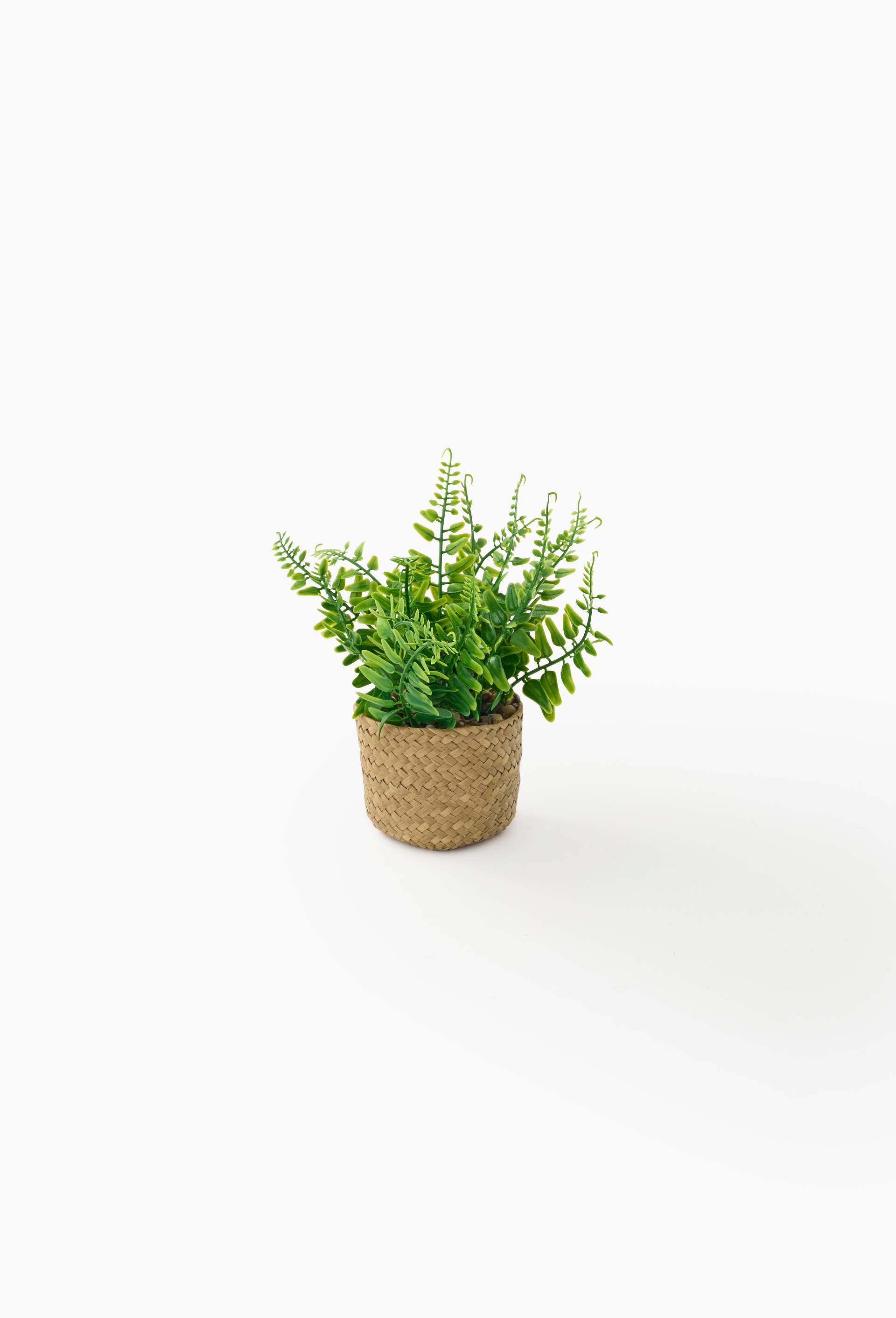 Plante artificielle foug&egrave;res dans un panier tress&eacute;, 39x29x20 cm, en plastique et rotin, Vert fonc&eacute;, large image number 0